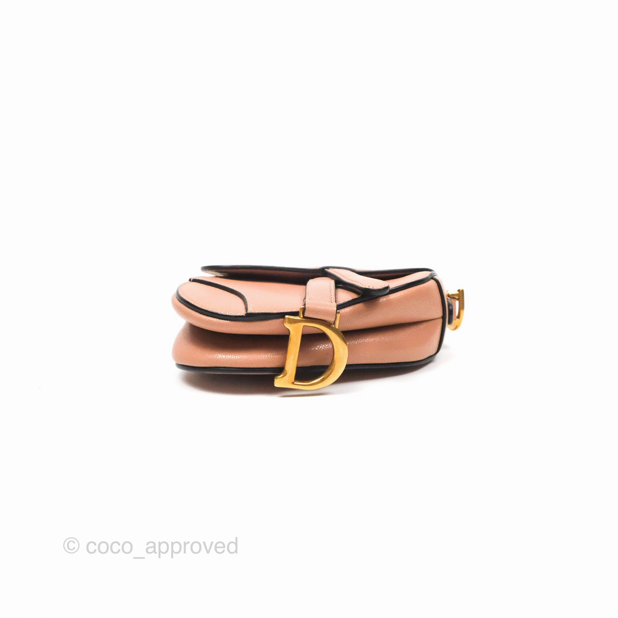 Christian Dior Micro Saddle Bag Rose des Vents Goatskin Gold Hardware