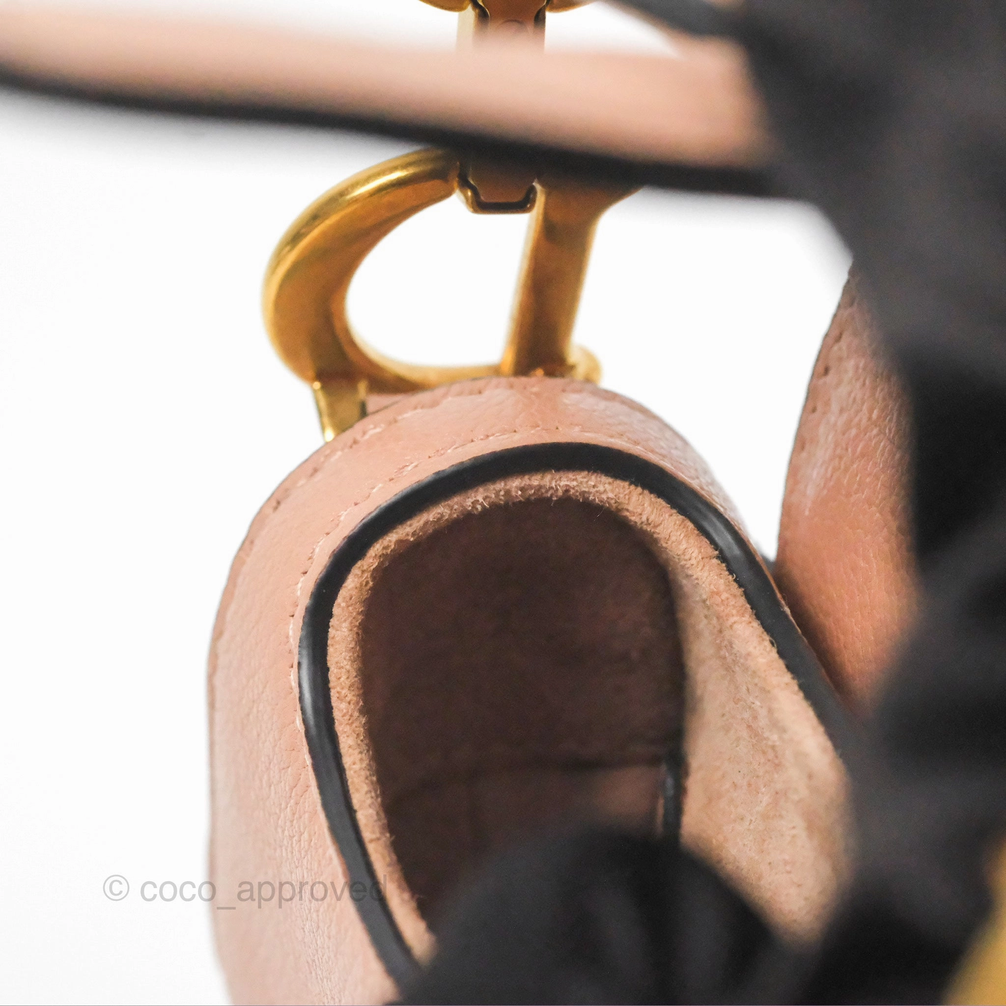 Christian Dior Micro Saddle Bag Rose des Vents Goatskin Gold Hardware