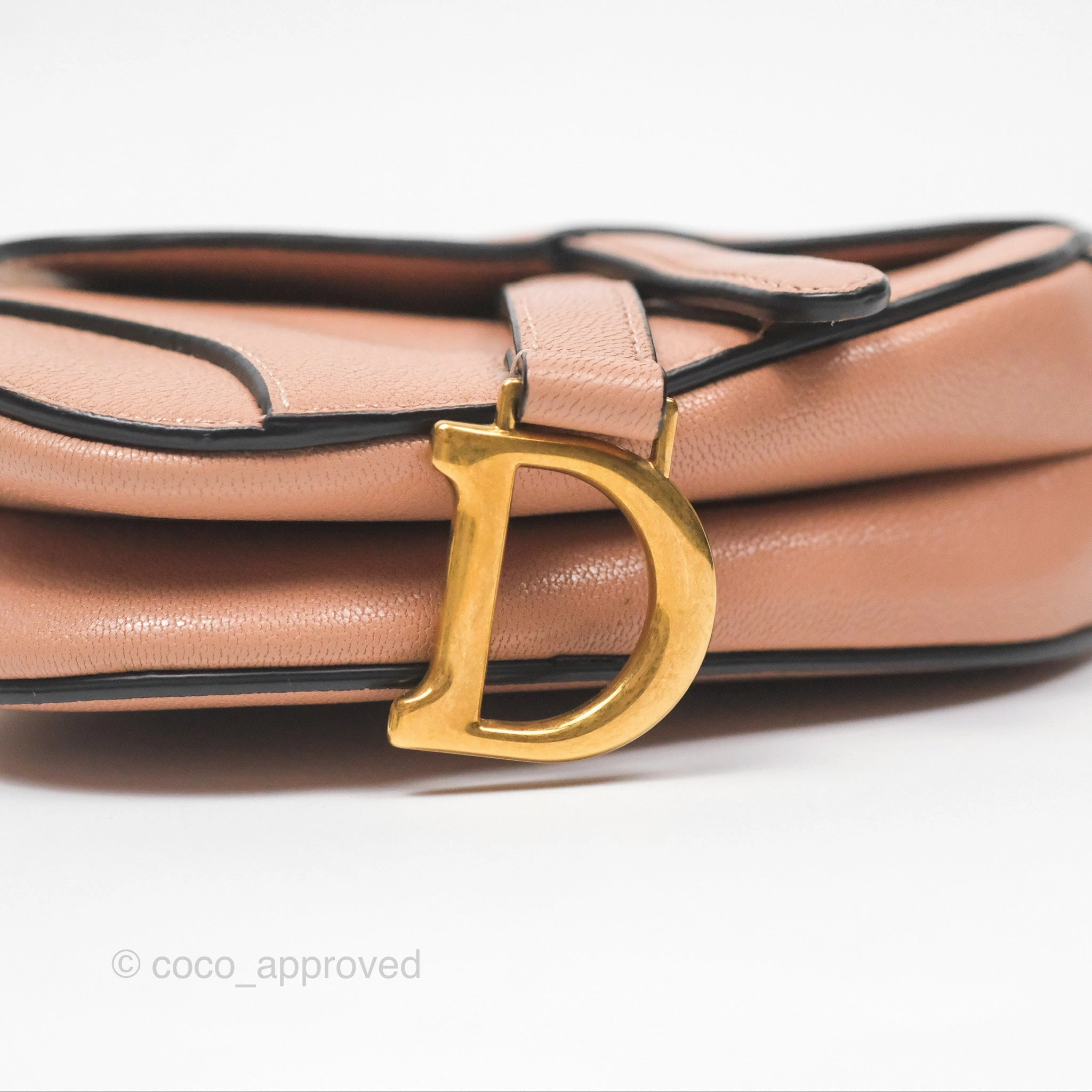 Christian Dior Micro Saddle Bag Rose des Vents Goatskin Gold Hardware