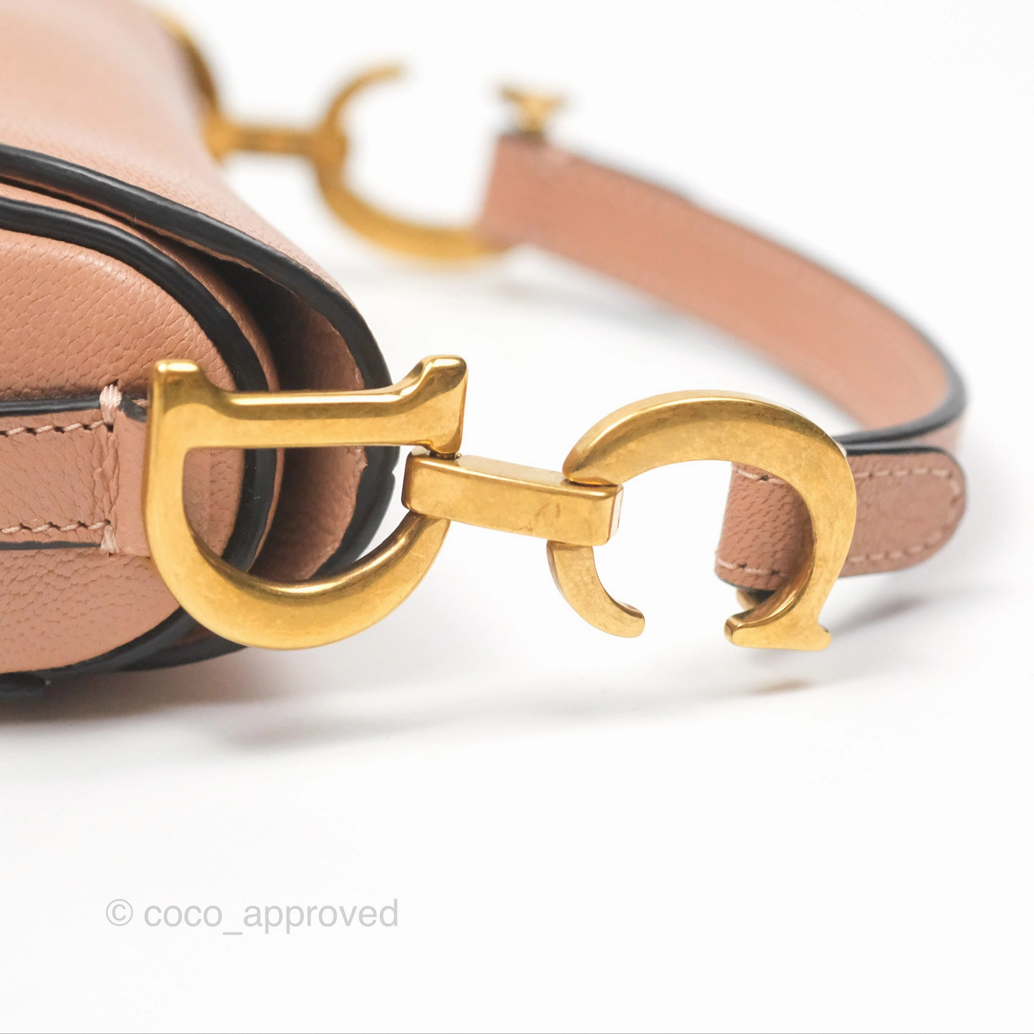 Christian Dior Micro Saddle Bag Rose des Vents Goatskin Gold Hardware