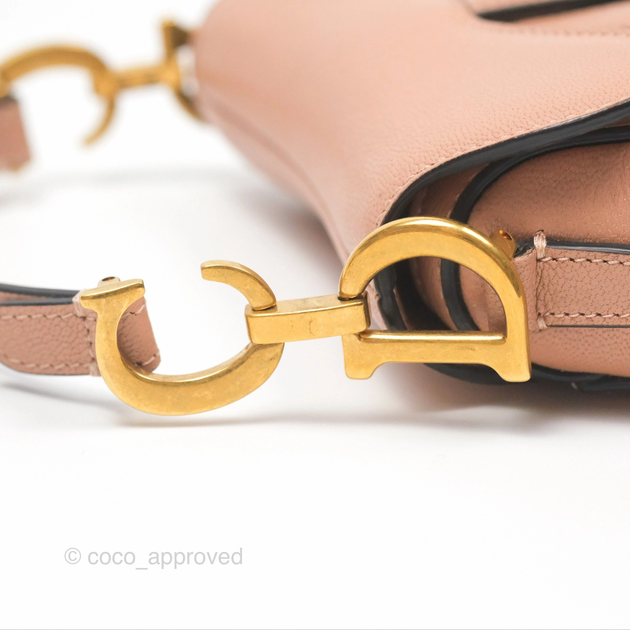 Christian Dior Micro Saddle Bag Rose des Vents Goatskin Gold Hardware