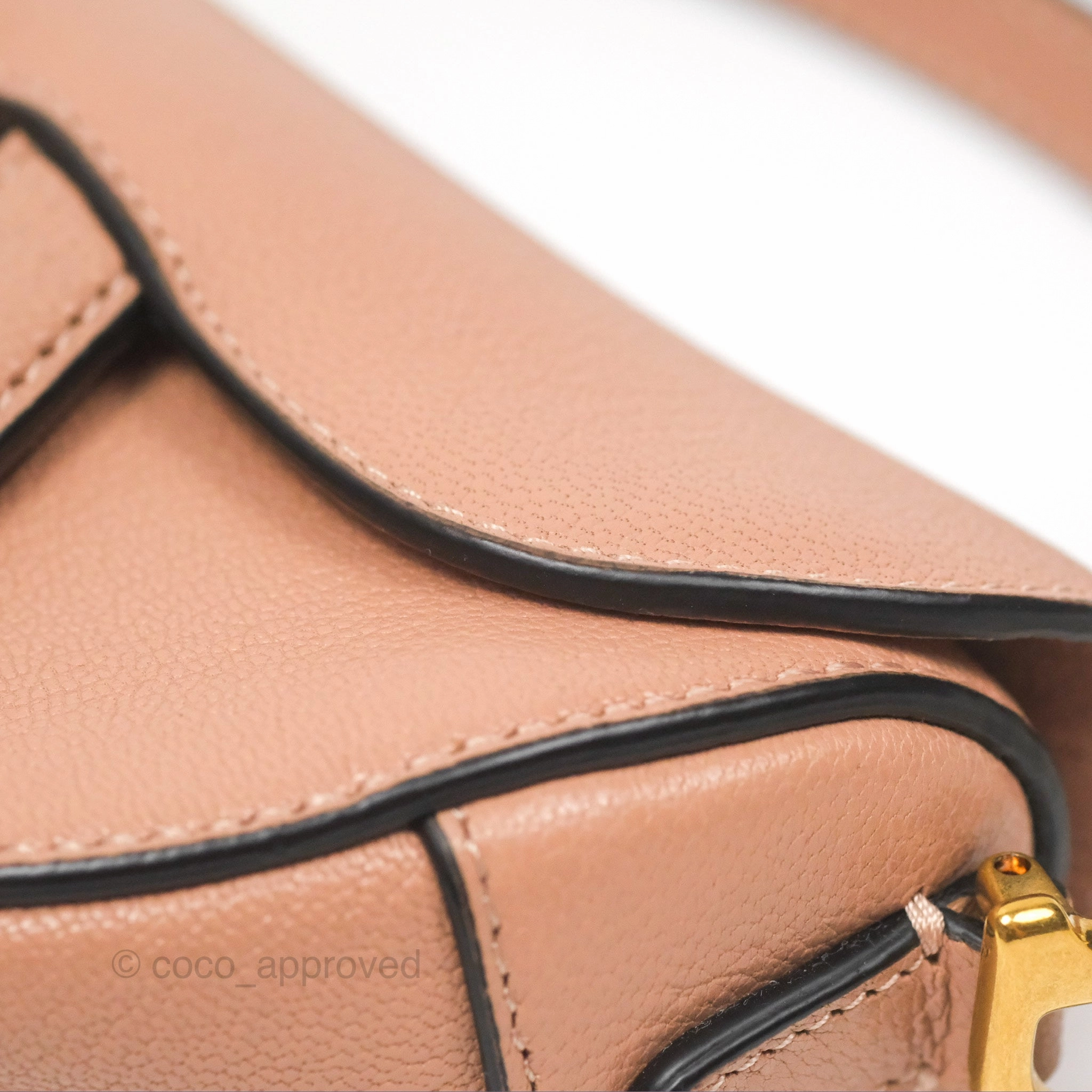 Christian Dior Micro Saddle Bag Rose des Vents Goatskin Gold Hardware
