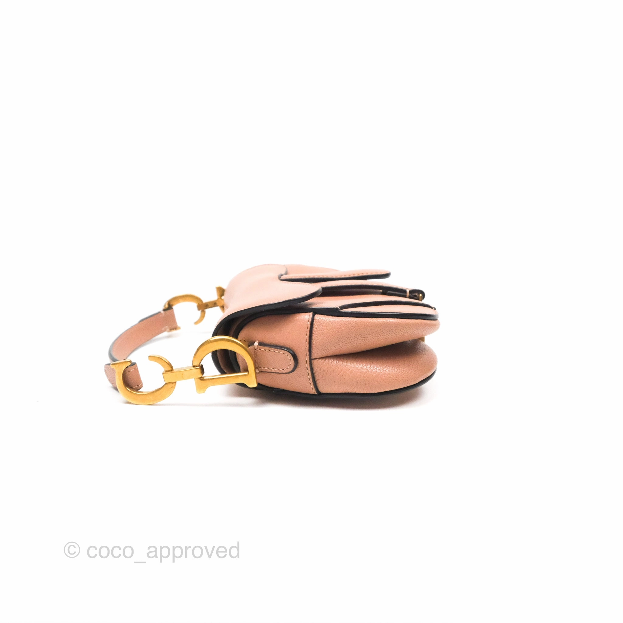 Christian Dior Micro Saddle Bag Rose des Vents Goatskin Gold Hardware