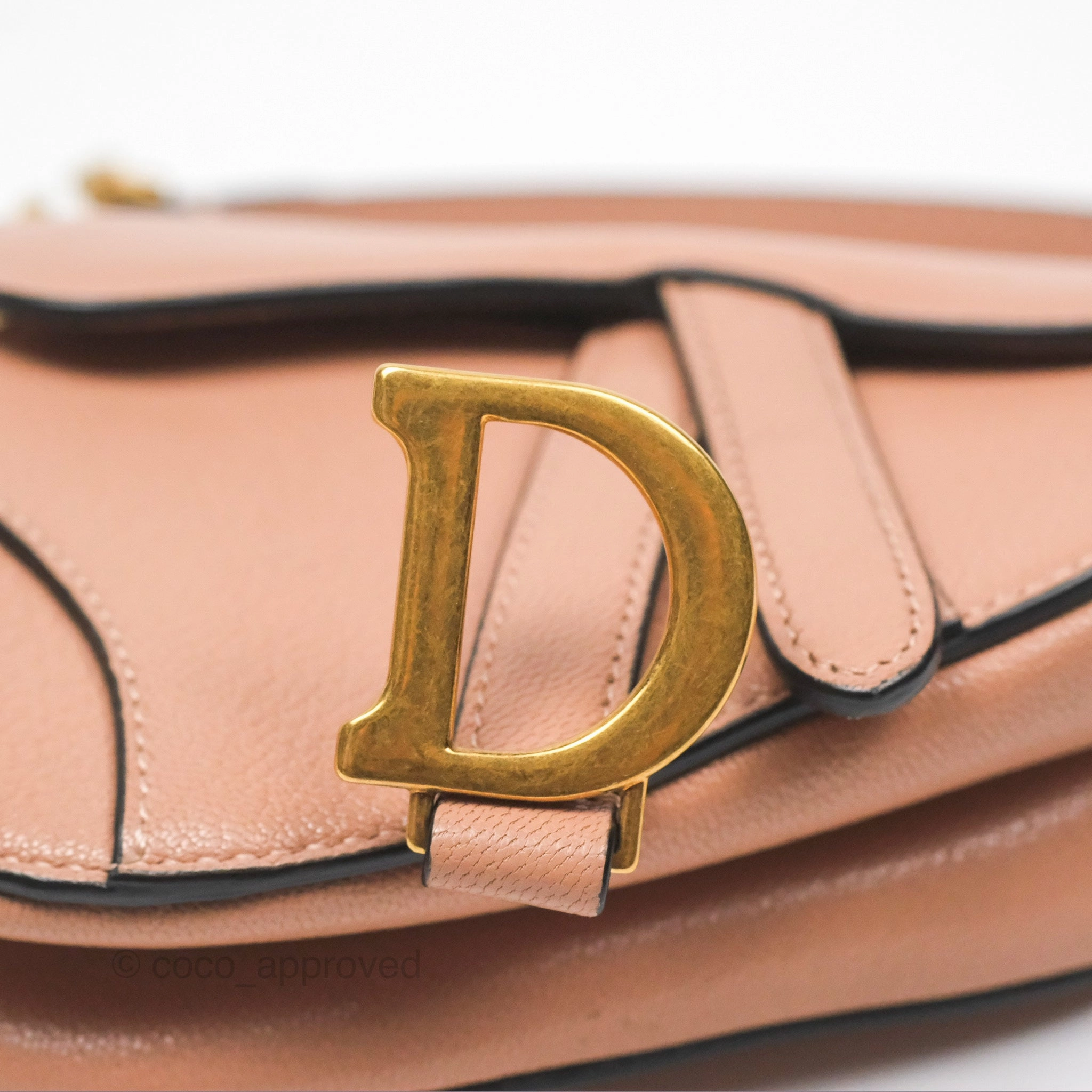 Christian Dior Micro Saddle Bag Rose des Vents Goatskin Gold Hardware