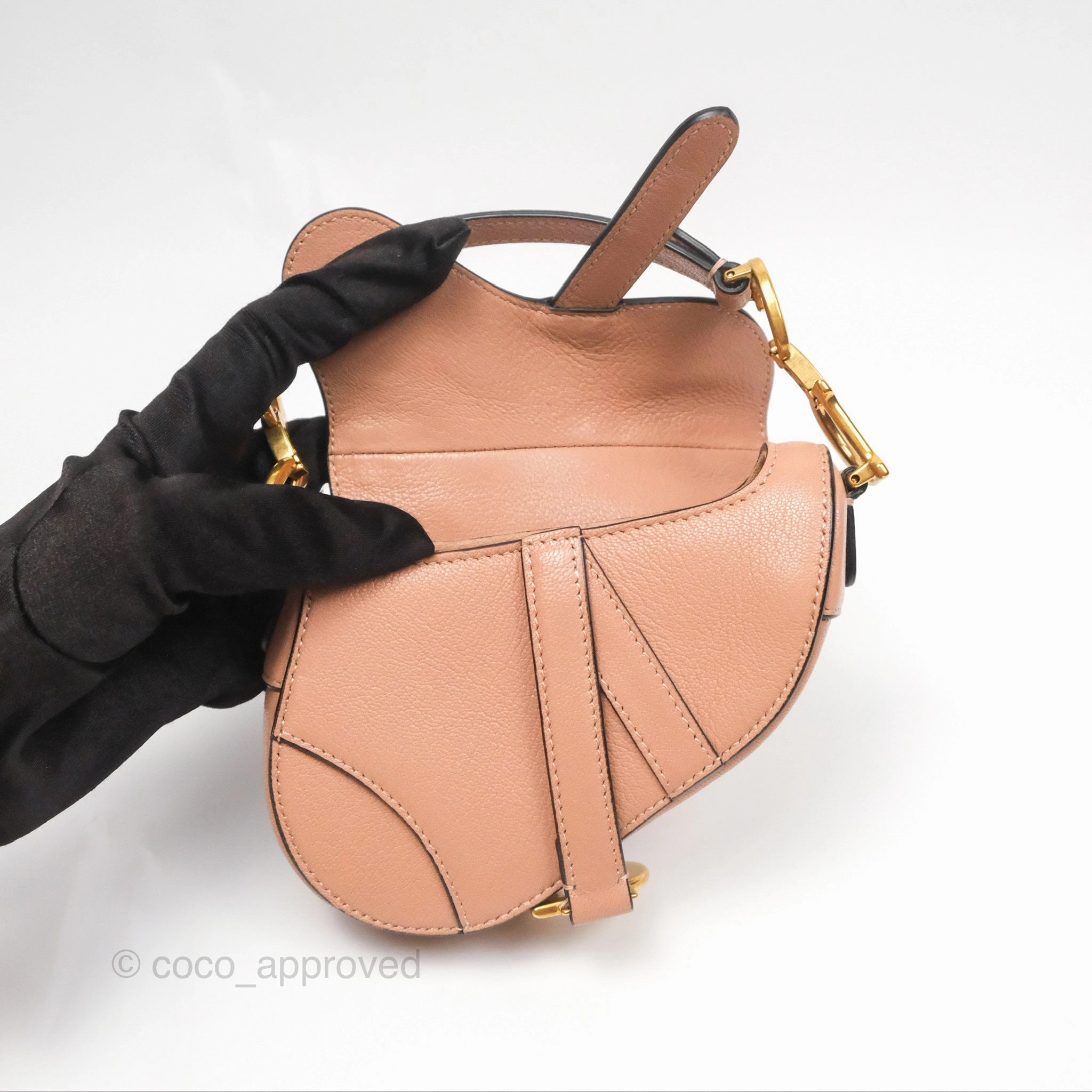 Christian Dior Micro Saddle Bag Rose des Vents Goatskin Gold Hardware