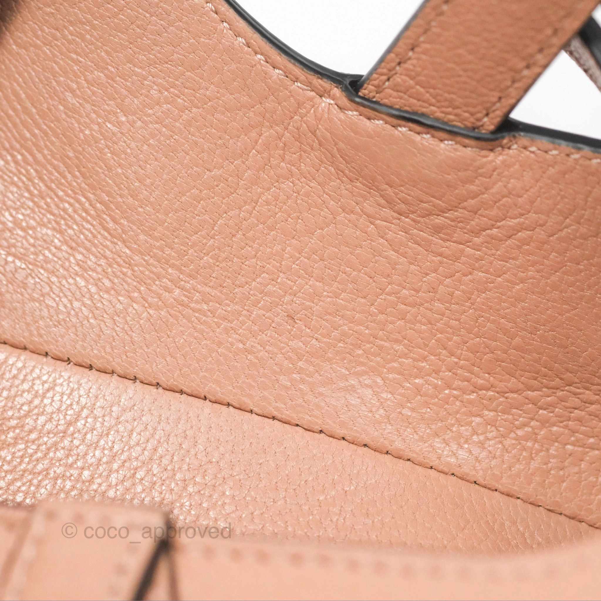 Christian Dior Micro Saddle Bag Rose des Vents Goatskin Gold Hardware