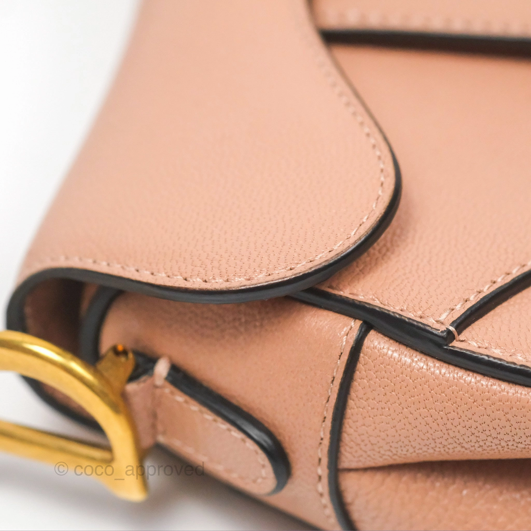 Christian Dior Micro Saddle Bag Rose des Vents Goatskin Gold Hardware