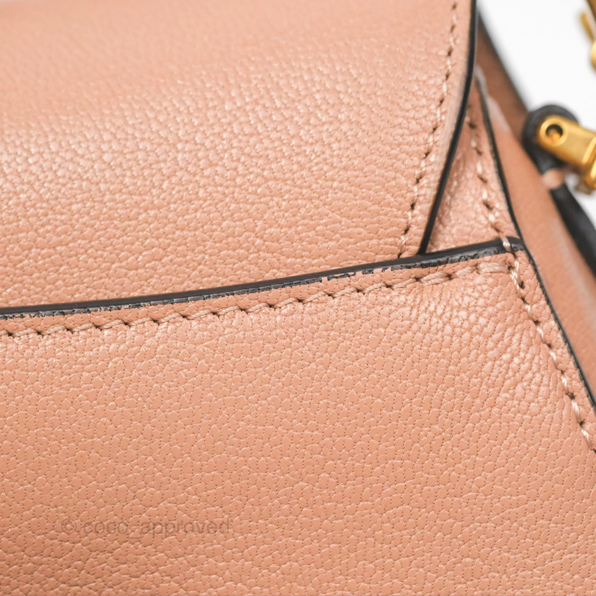 Christian Dior Micro Saddle Bag Rose des Vents Goatskin Gold Hardware