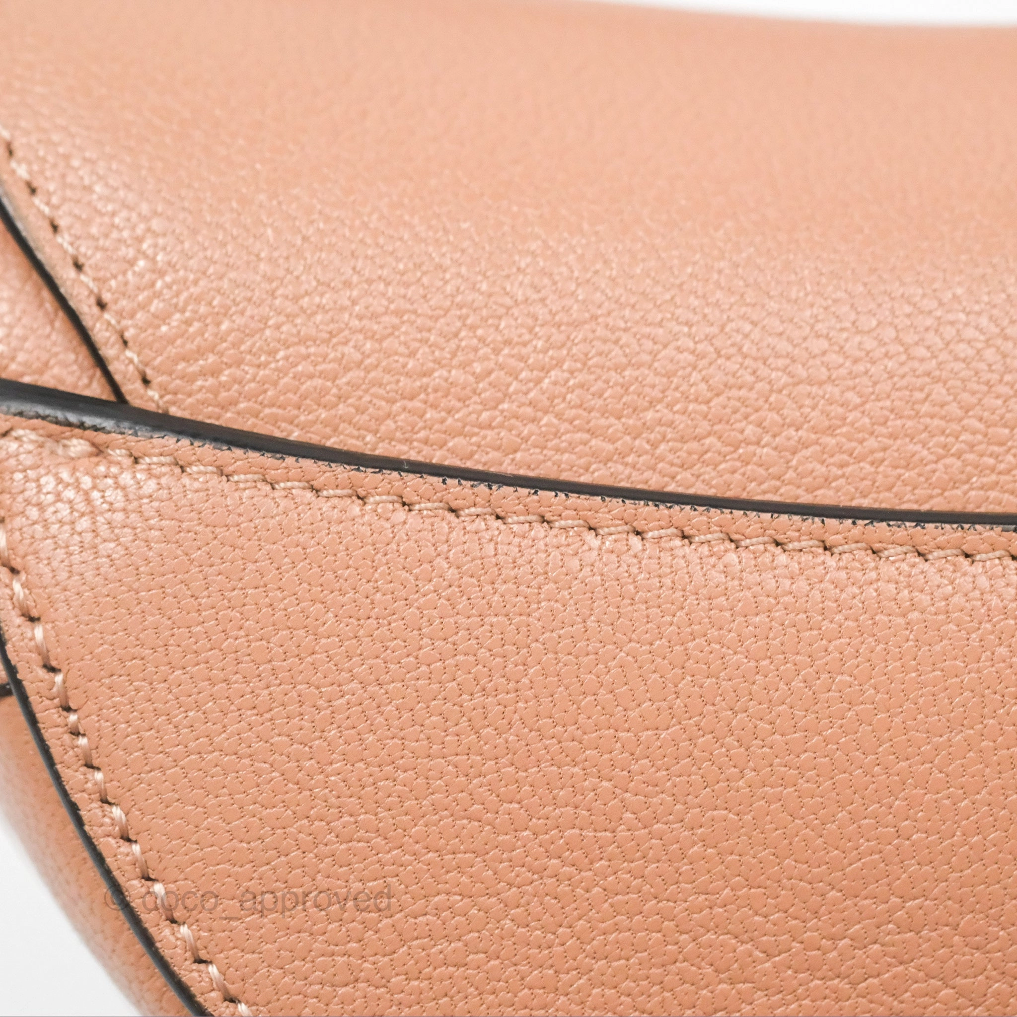 Christian Dior Micro Saddle Bag Rose des Vents Goatskin Gold Hardware