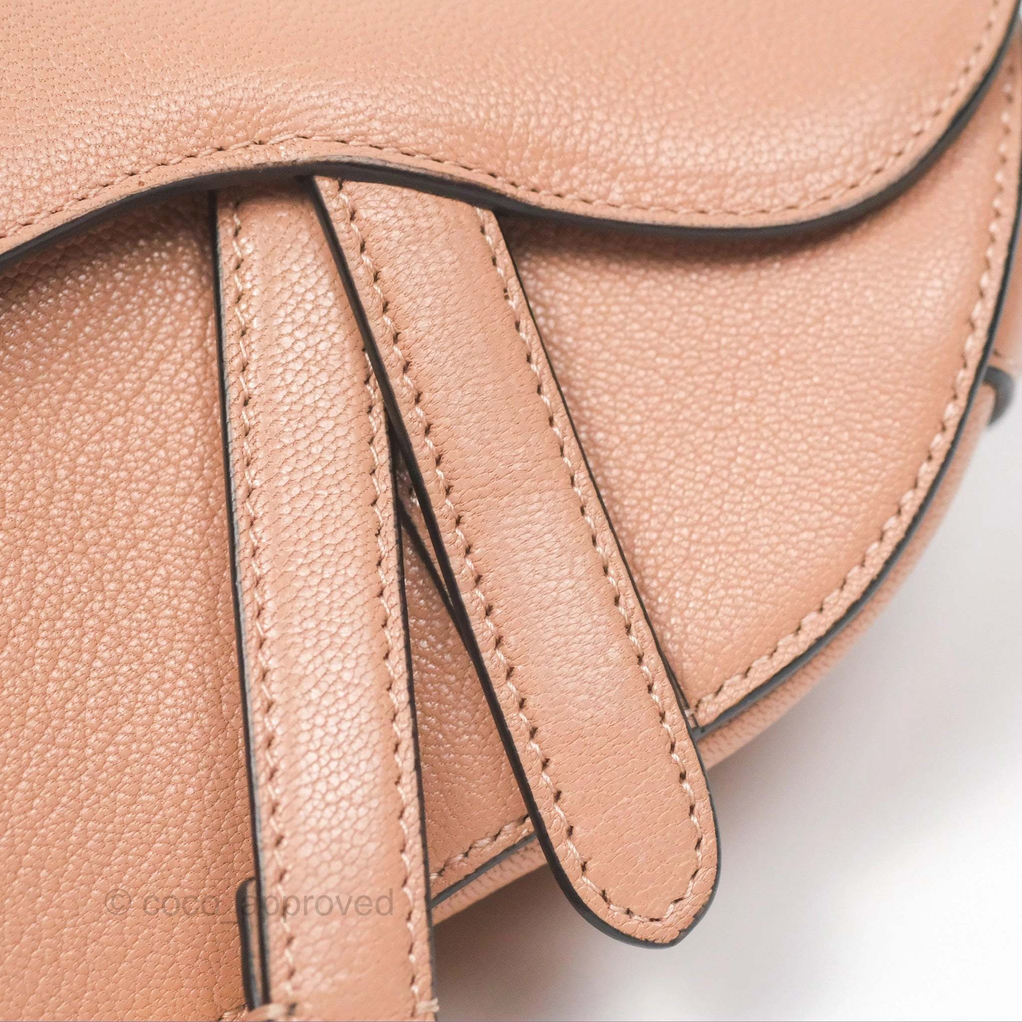 Christian Dior Micro Saddle Bag Rose des Vents Goatskin Gold Hardware