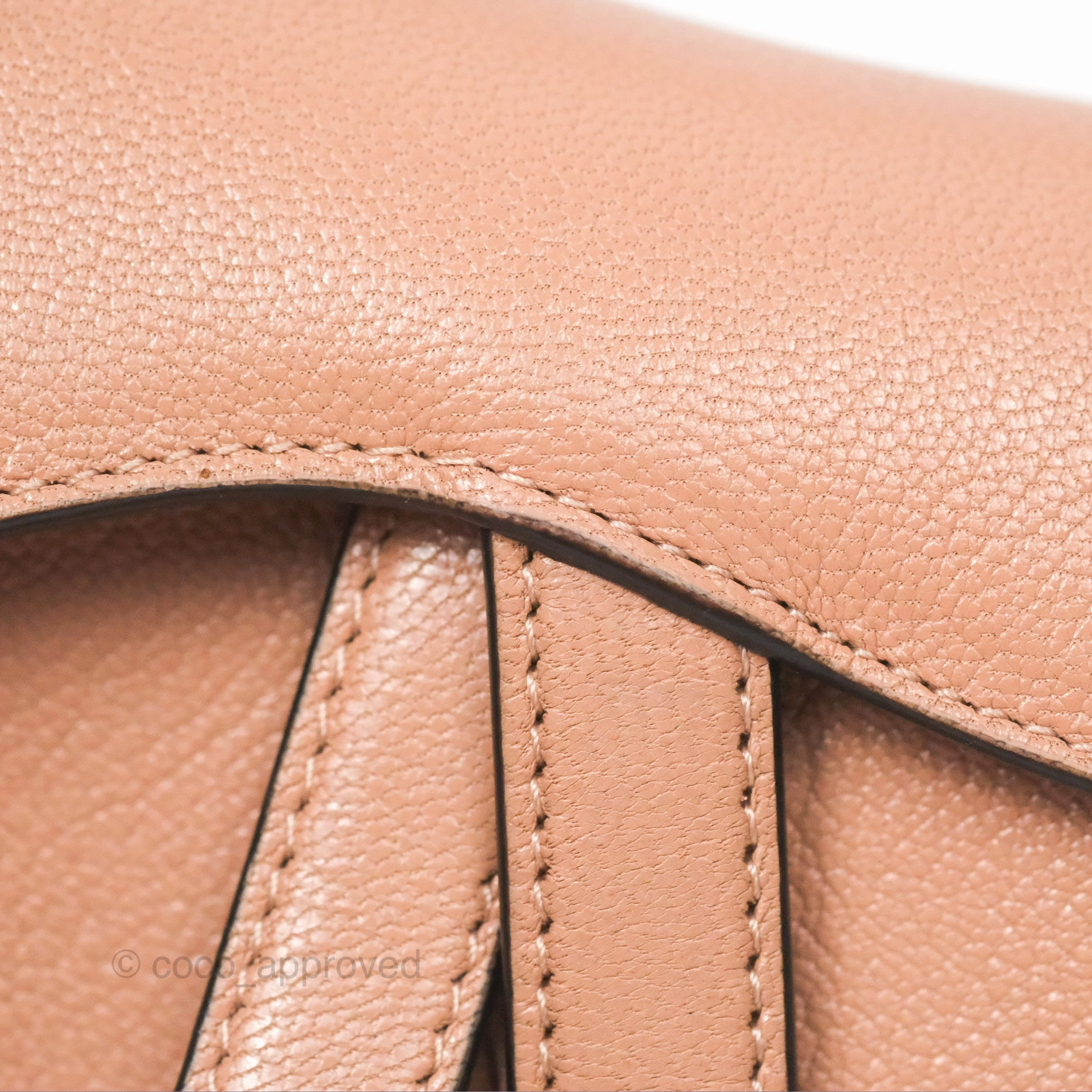 Christian Dior Micro Saddle Bag Rose des Vents Goatskin Gold Hardware