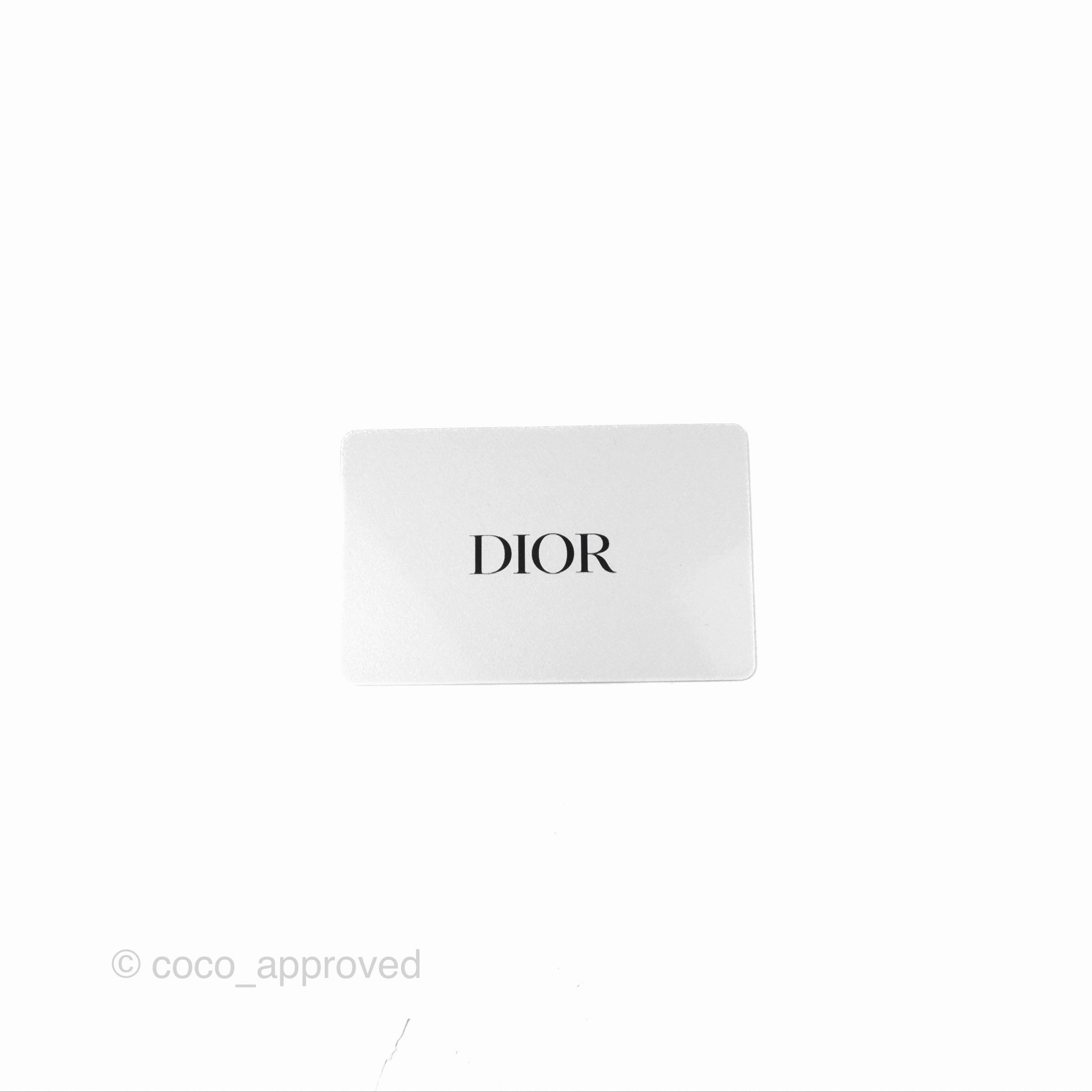Christian Dior Mini Saddle Bag Black Grained Calfskin Gold Hardware