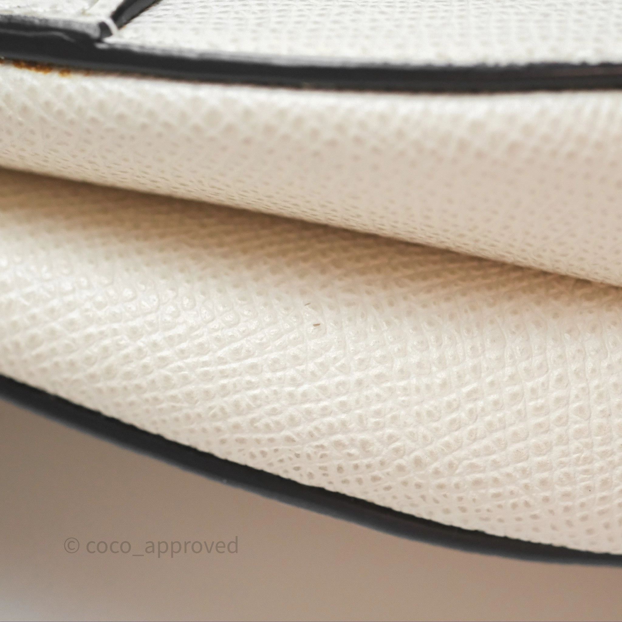 Christian Dior Mini Saddle Bag White Grained Calfskin Gold Hardware