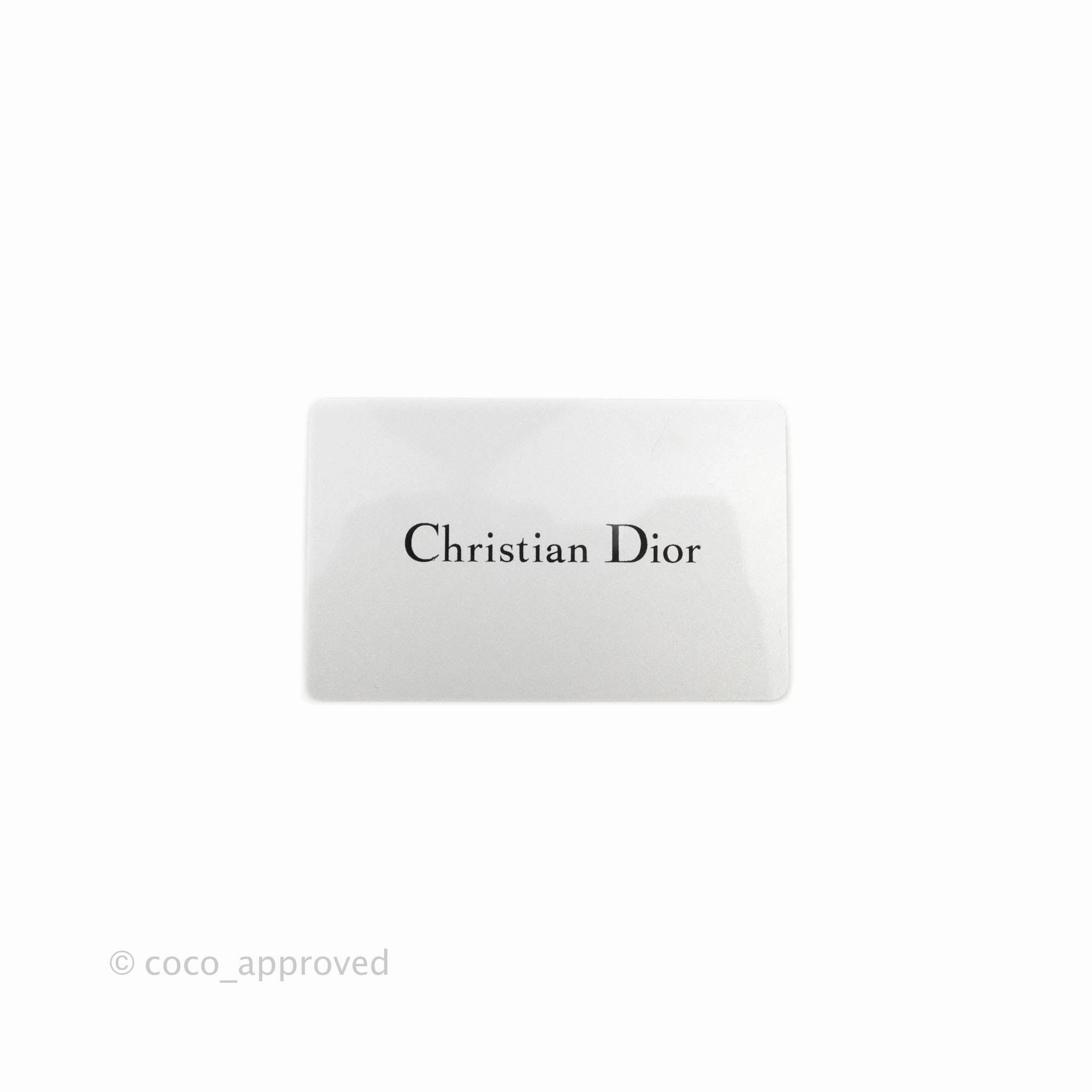 Christian Dior Saddle Belt Bag Black Calfskin Gold Hardware