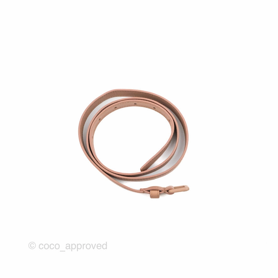 Christian Dior Saddle Belt Pouch Dusty Pink Matte Calfskin Gold Hardware