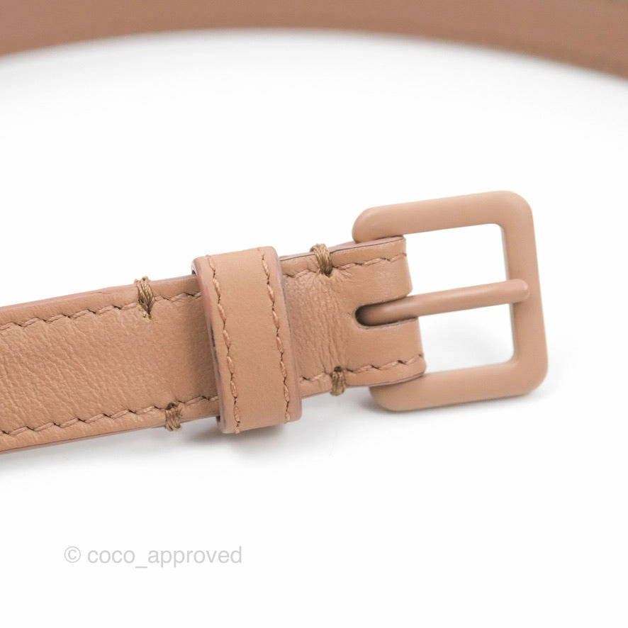 Christian Dior Saddle Belt Pouch Dusty Pink Matte Calfskin Gold Hardware