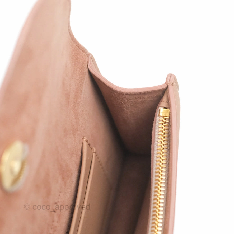 Christian Dior Saddle Belt Pouch Dusty Pink Matte Calfskin Gold Hardware