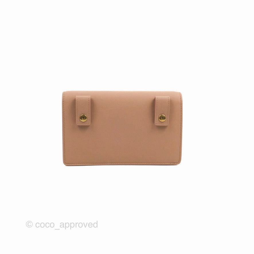 Christian Dior Saddle Belt Pouch Dusty Pink Matte Calfskin Gold Hardware