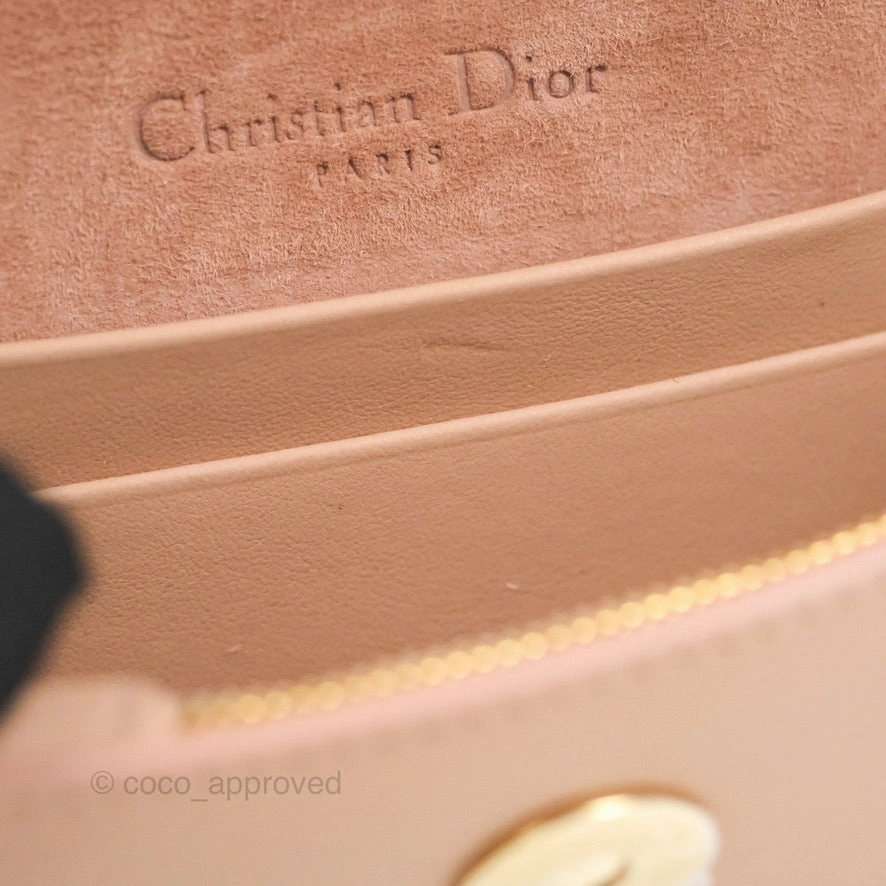 Christian Dior Saddle Belt Pouch Dusty Pink Matte Calfskin Gold Hardware