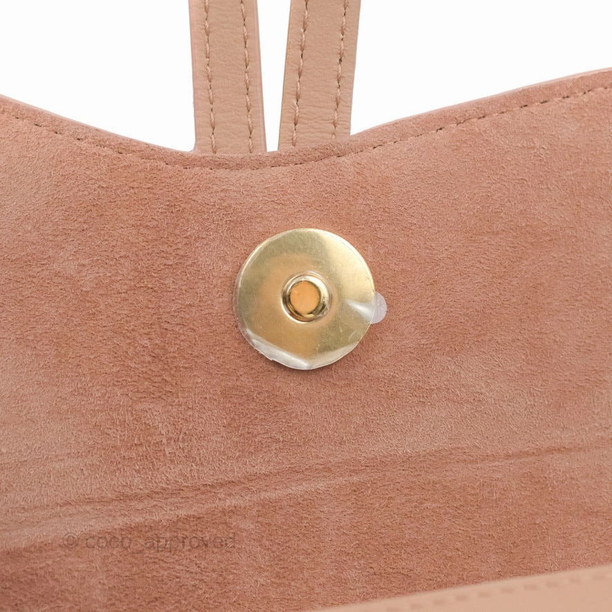 Christian Dior Saddle Belt Pouch Dusty Pink Matte Calfskin Gold Hardware