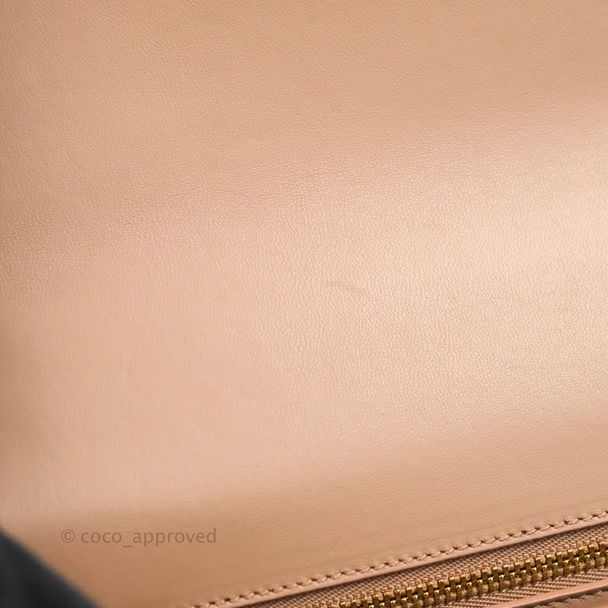 Dior 30 Montaigne Bag Rose Des Vents Crinkled Calfskin Gold Hardware