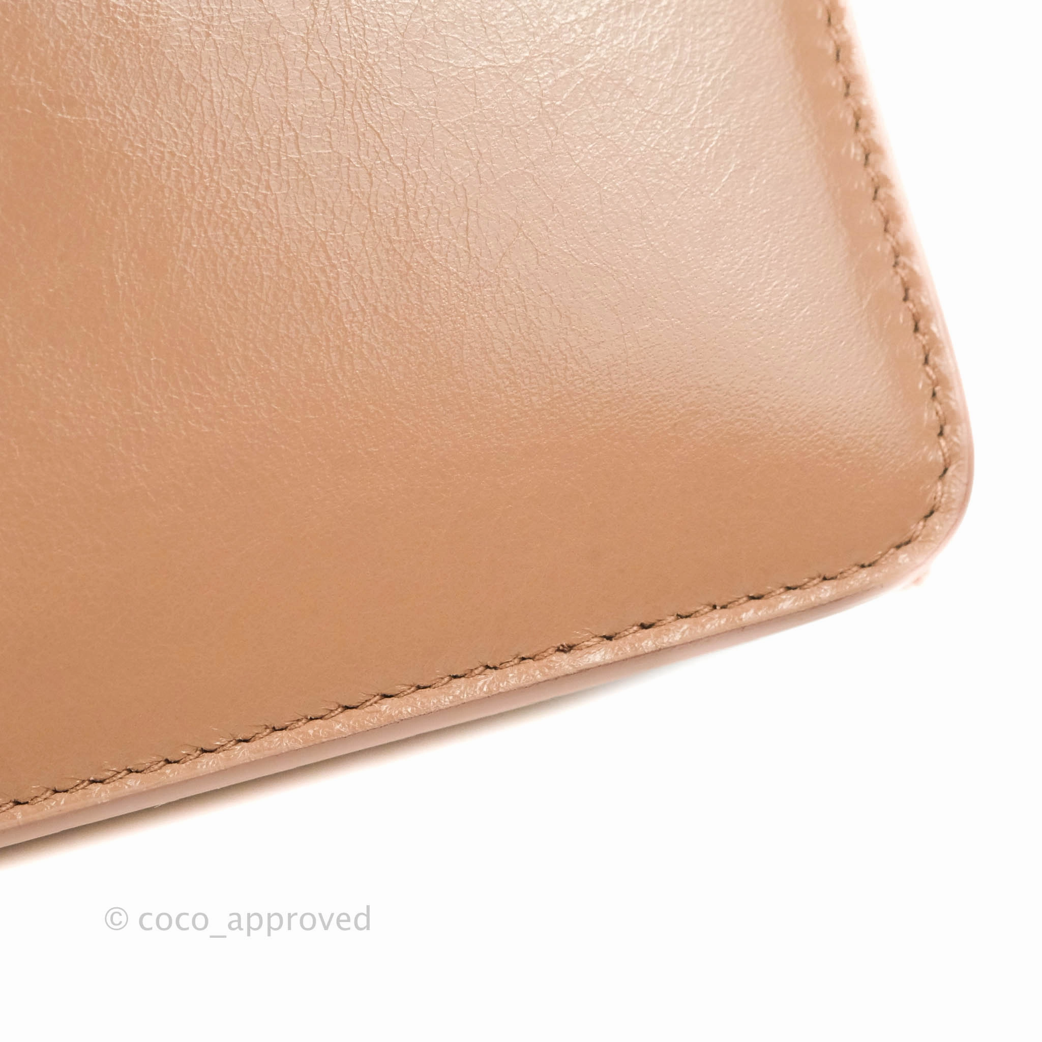 Dior 30 Montaigne Bag Rose Des Vents Crinkled Calfskin Gold Hardware