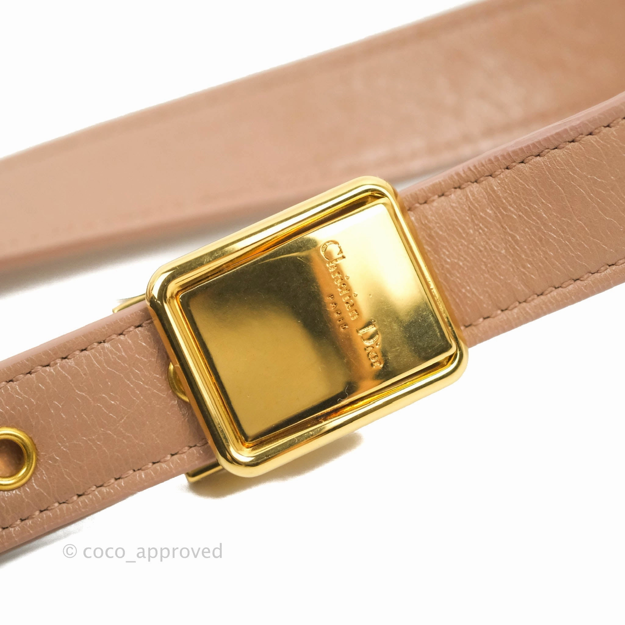 Dior 30 Montaigne Bag Rose Des Vents Crinkled Calfskin Gold Hardware