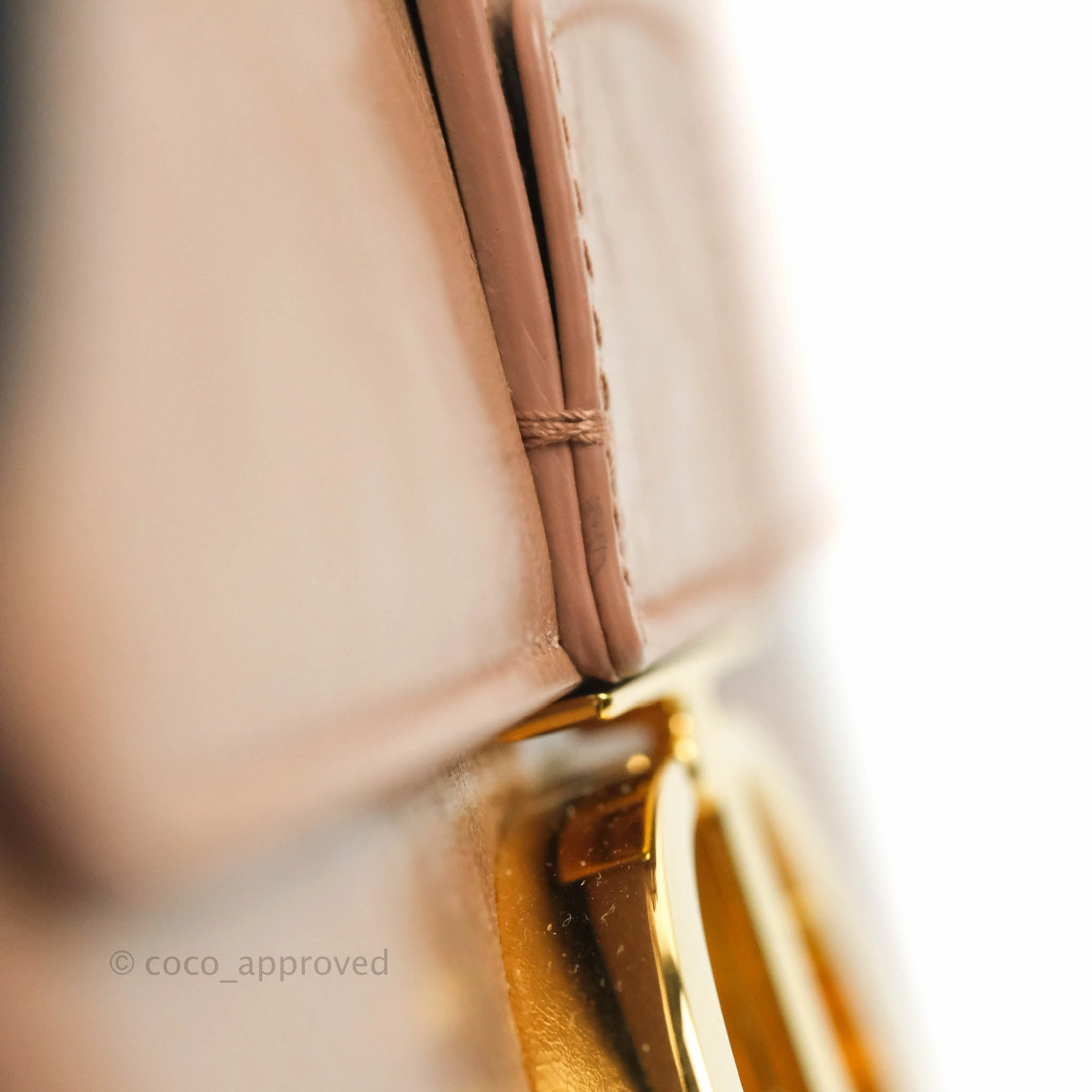 Dior 30 Montaigne Bag Rose Des Vents Crinkled Calfskin Gold Hardware