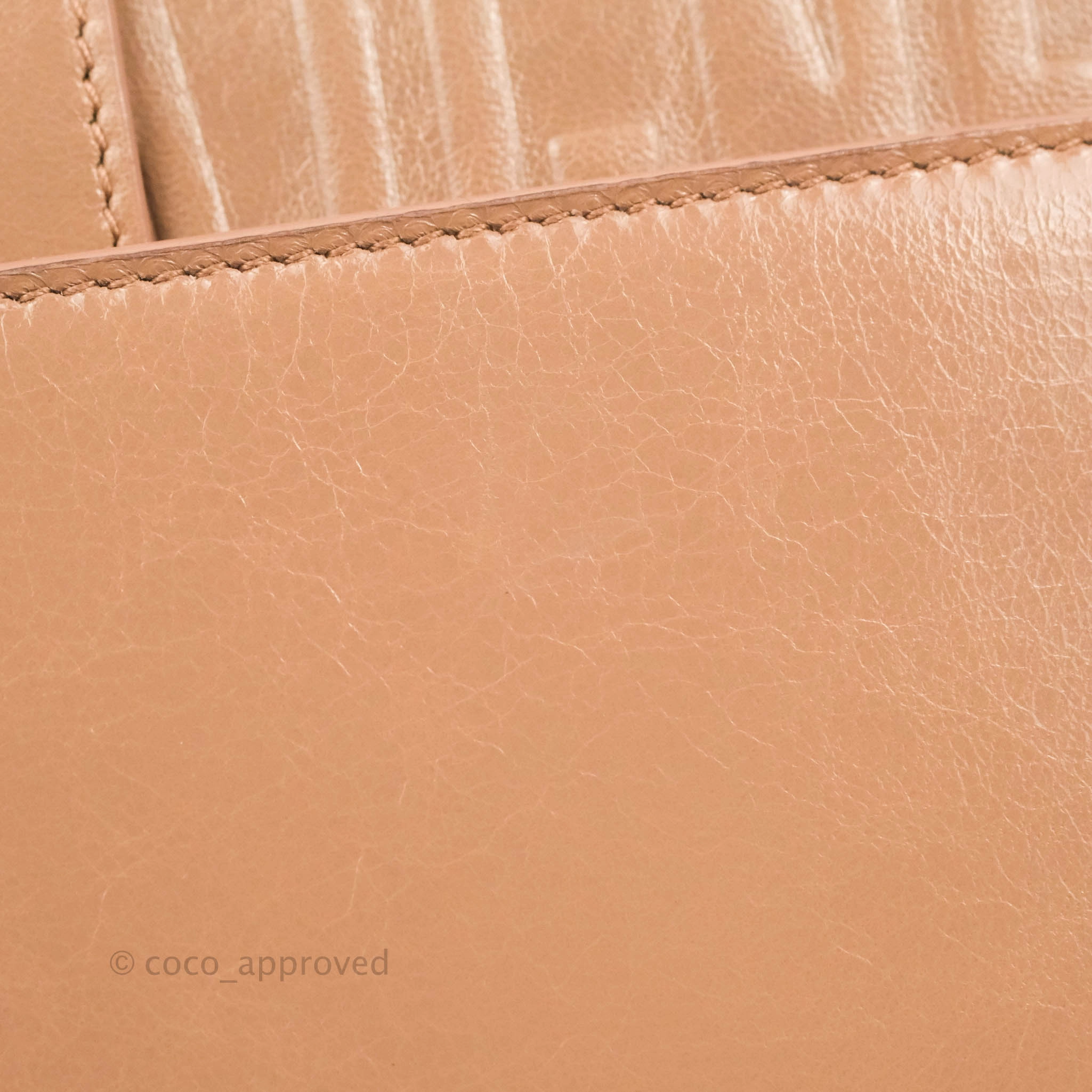 Dior 30 Montaigne Bag Rose Des Vents Crinkled Calfskin Gold Hardware