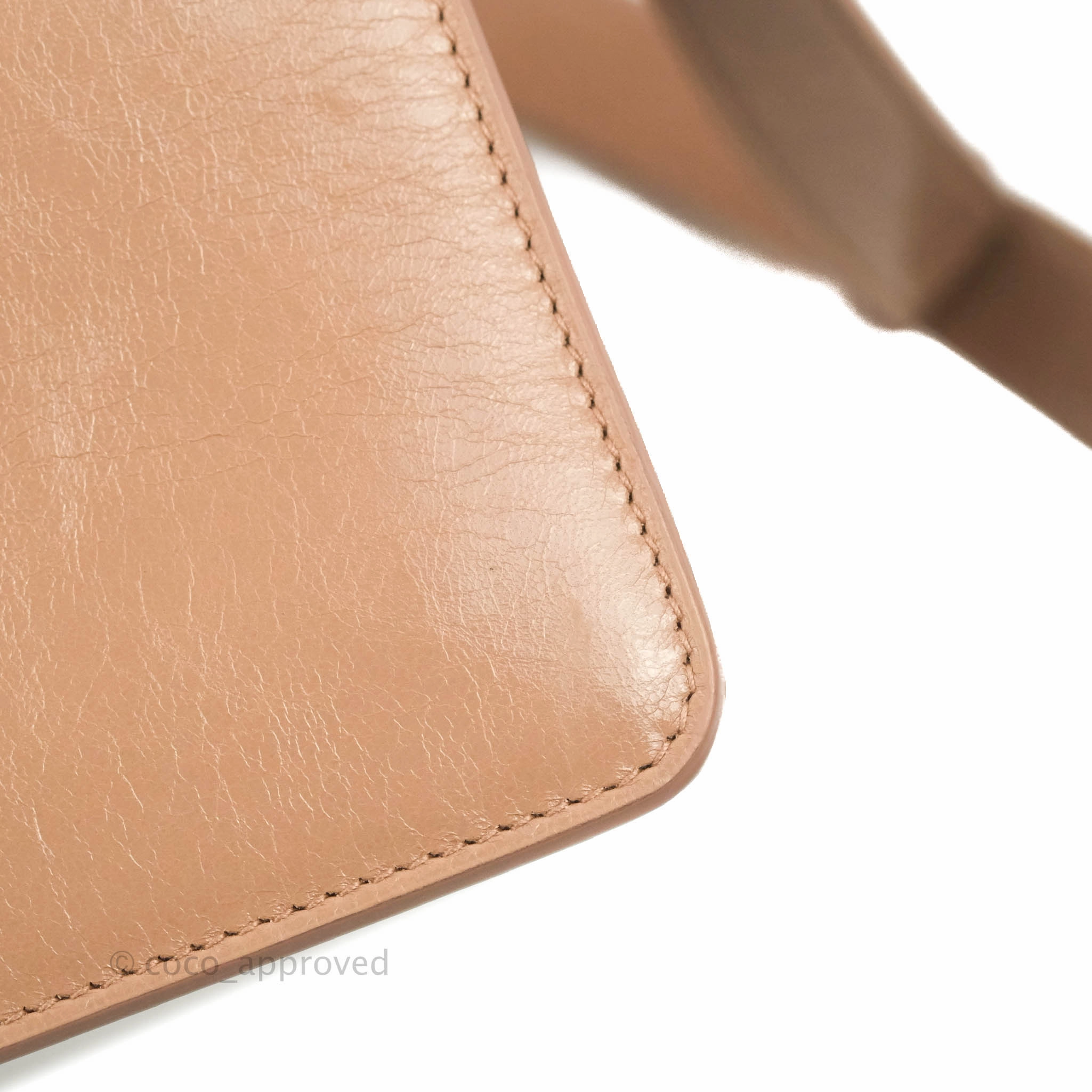 Dior 30 Montaigne Bag Rose Des Vents Crinkled Calfskin Gold Hardware