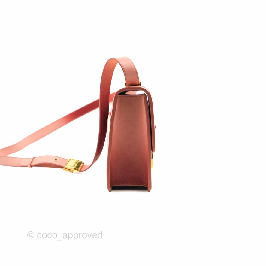 Dior 30 Montaigne Bag Smooth Calfskin Gradient Rose Multicolour