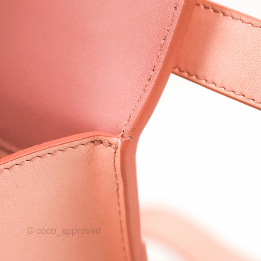 Dior 30 Montaigne Bag Smooth Calfskin Gradient Rose Multicolour