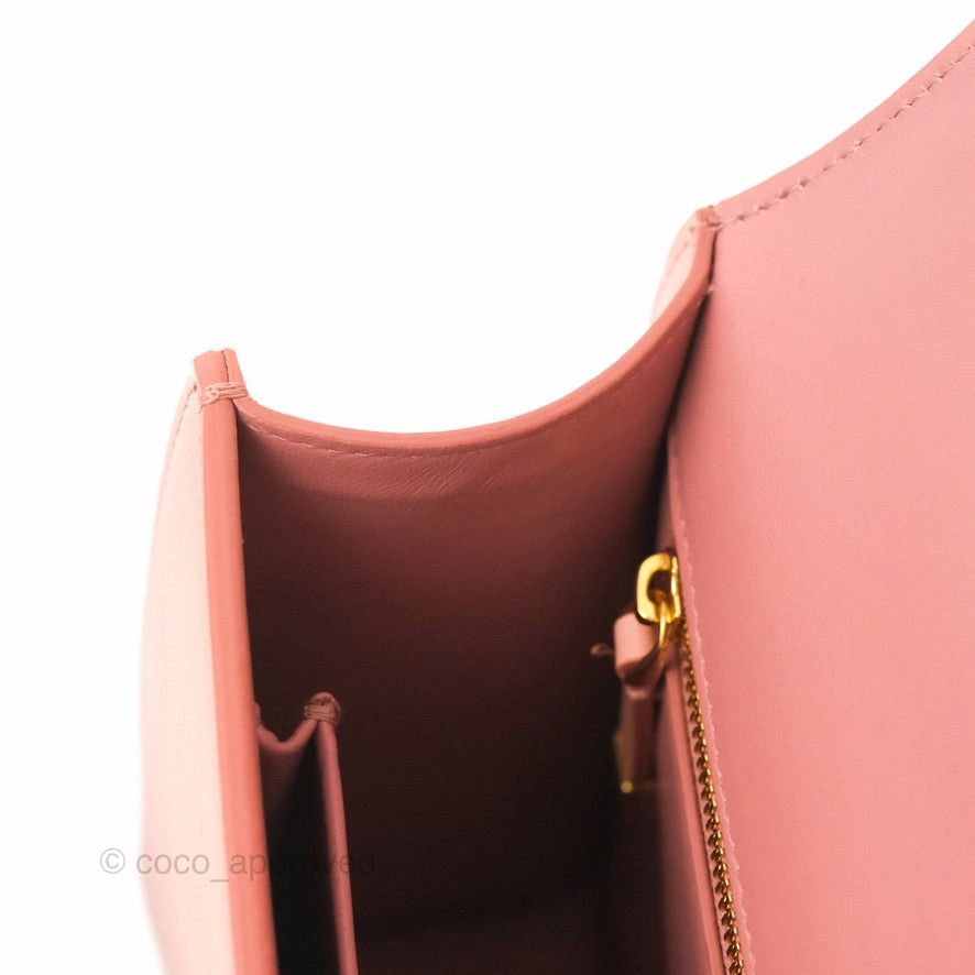 Dior 30 Montaigne Bag Smooth Calfskin Gradient Rose Multicolour