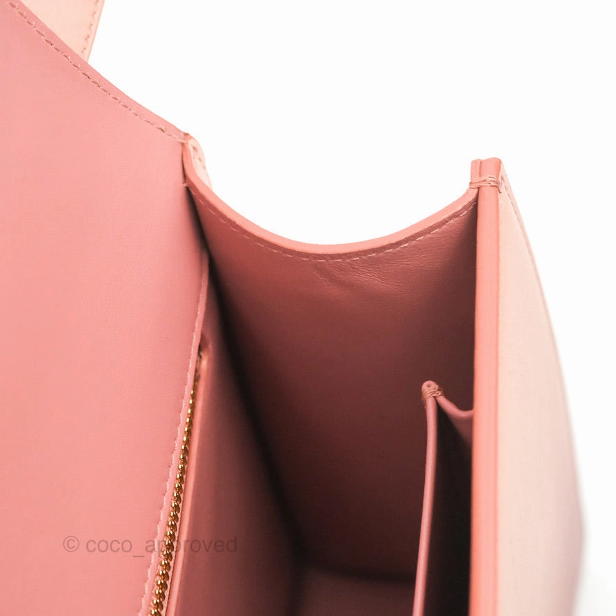Dior 30 Montaigne Bag Smooth Calfskin Gradient Rose Multicolour