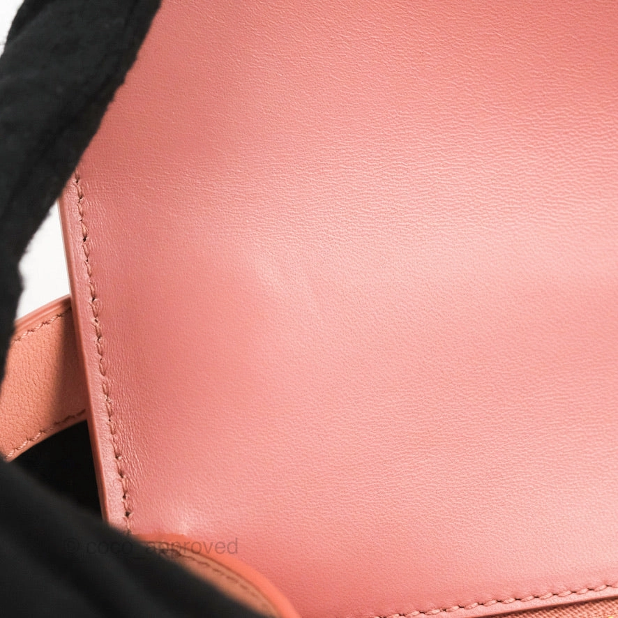 Dior 30 Montaigne Bag Smooth Calfskin Gradient Rose Multicolour