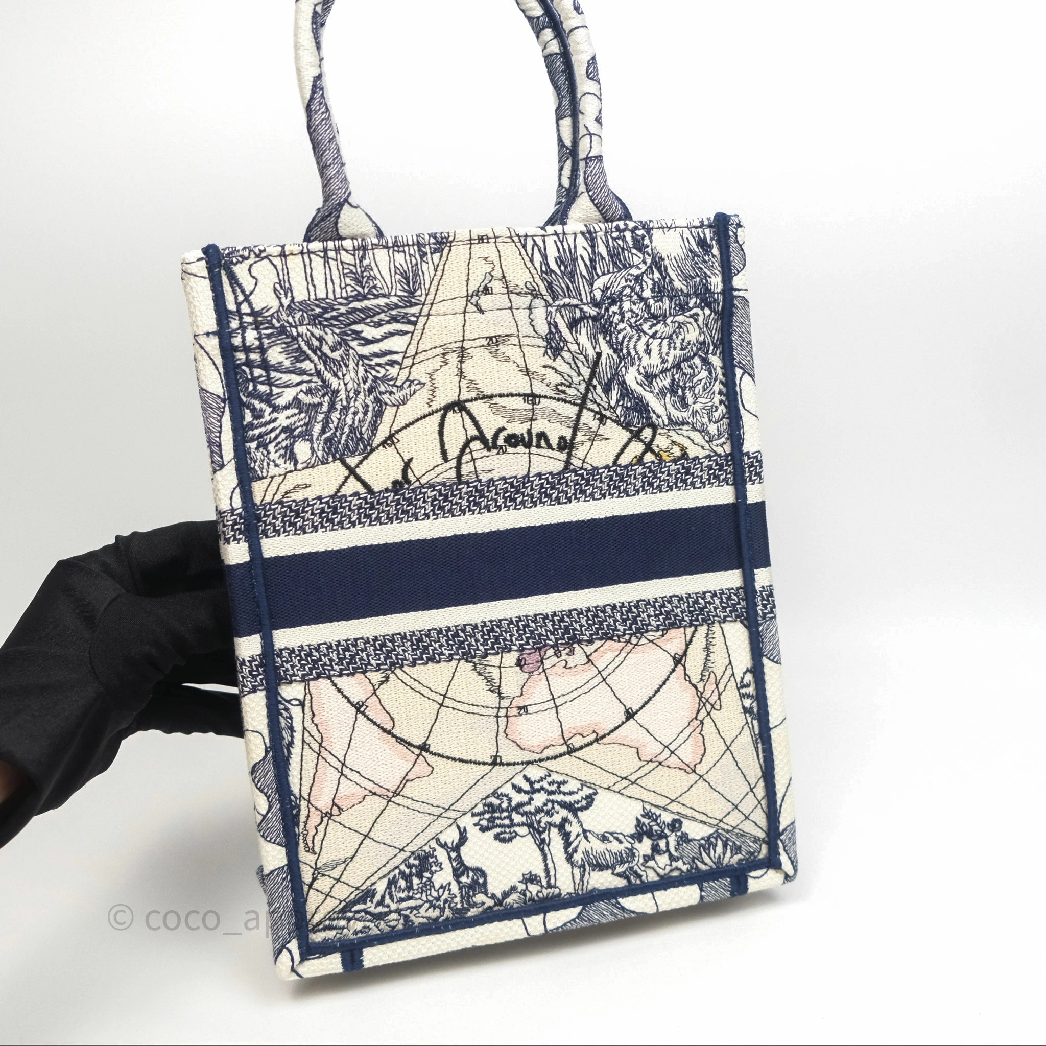 Dior Around The World Vertical Book Tote Blue White