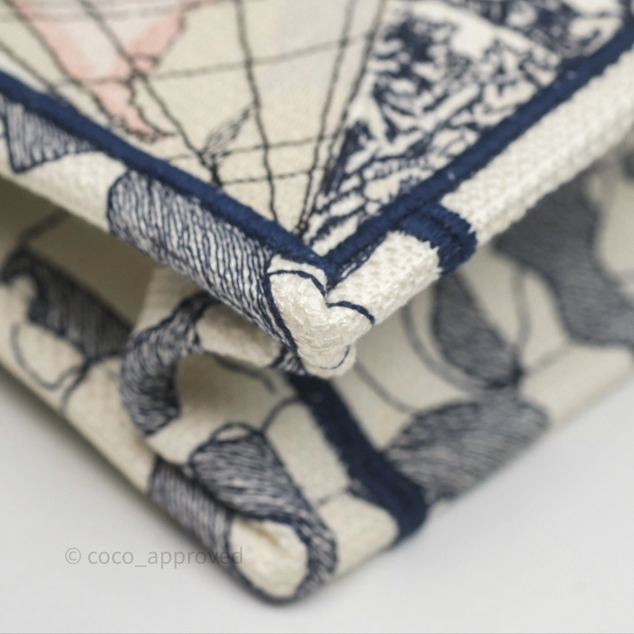 Dior Around The World Vertical Book Tote Blue White