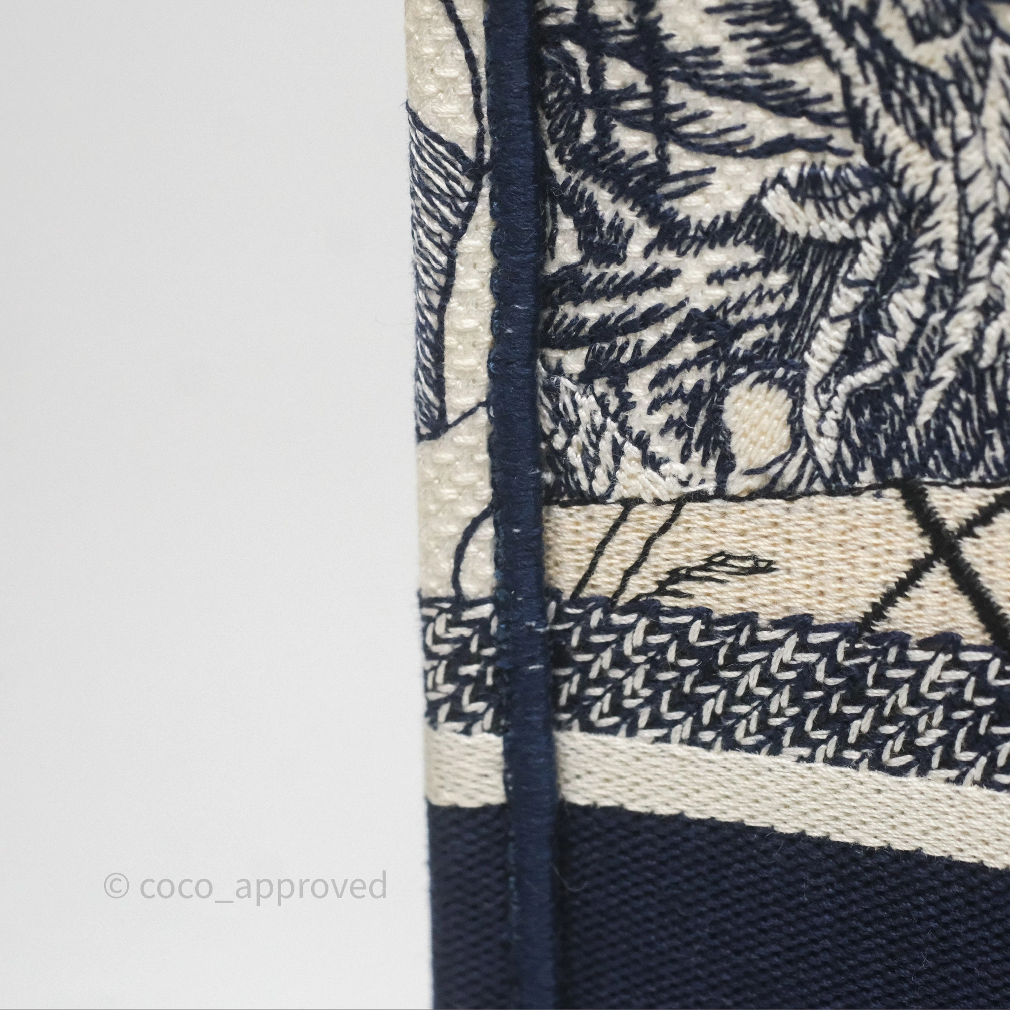 Dior Around The World Vertical Book Tote Blue White