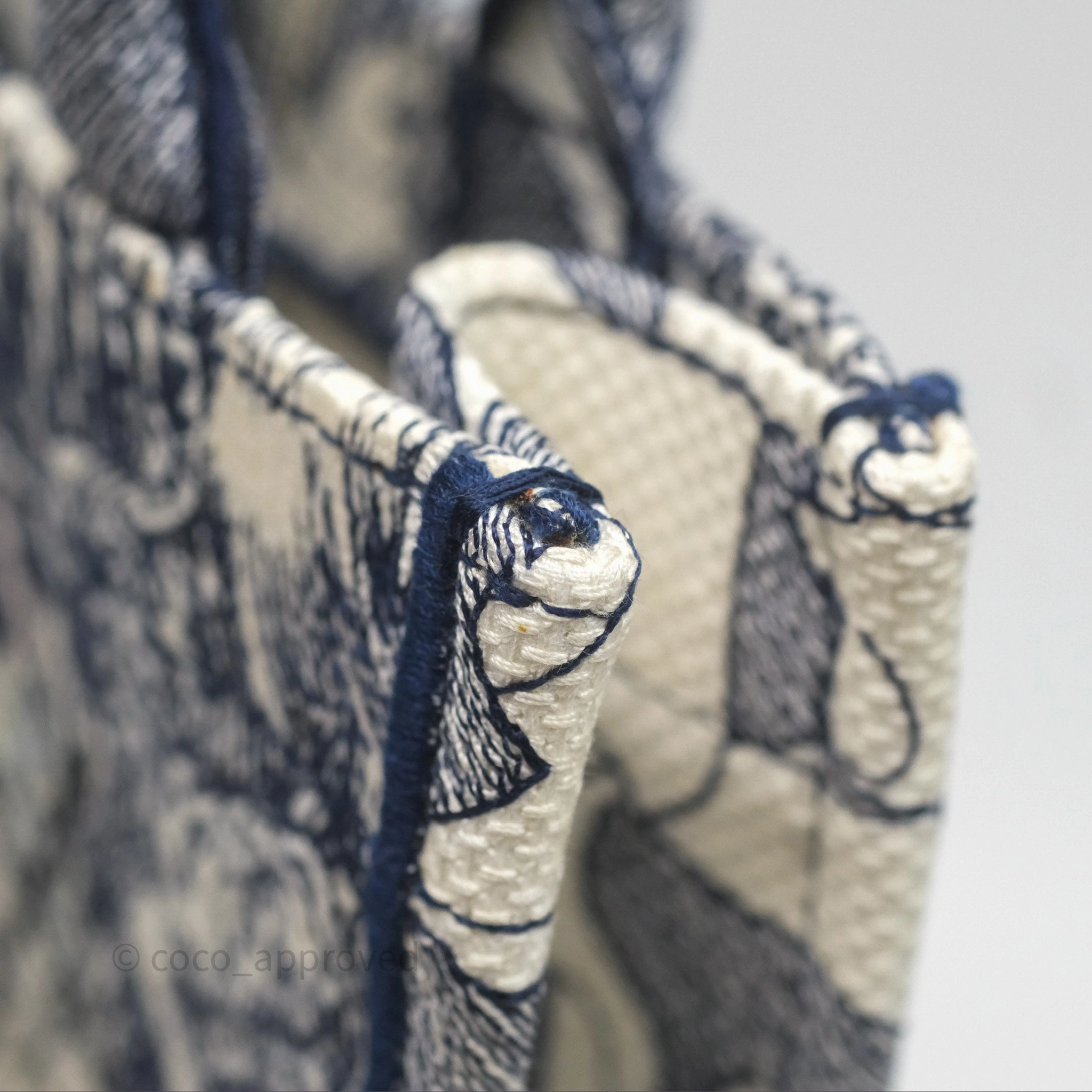 Dior Around The World Vertical Book Tote Blue White