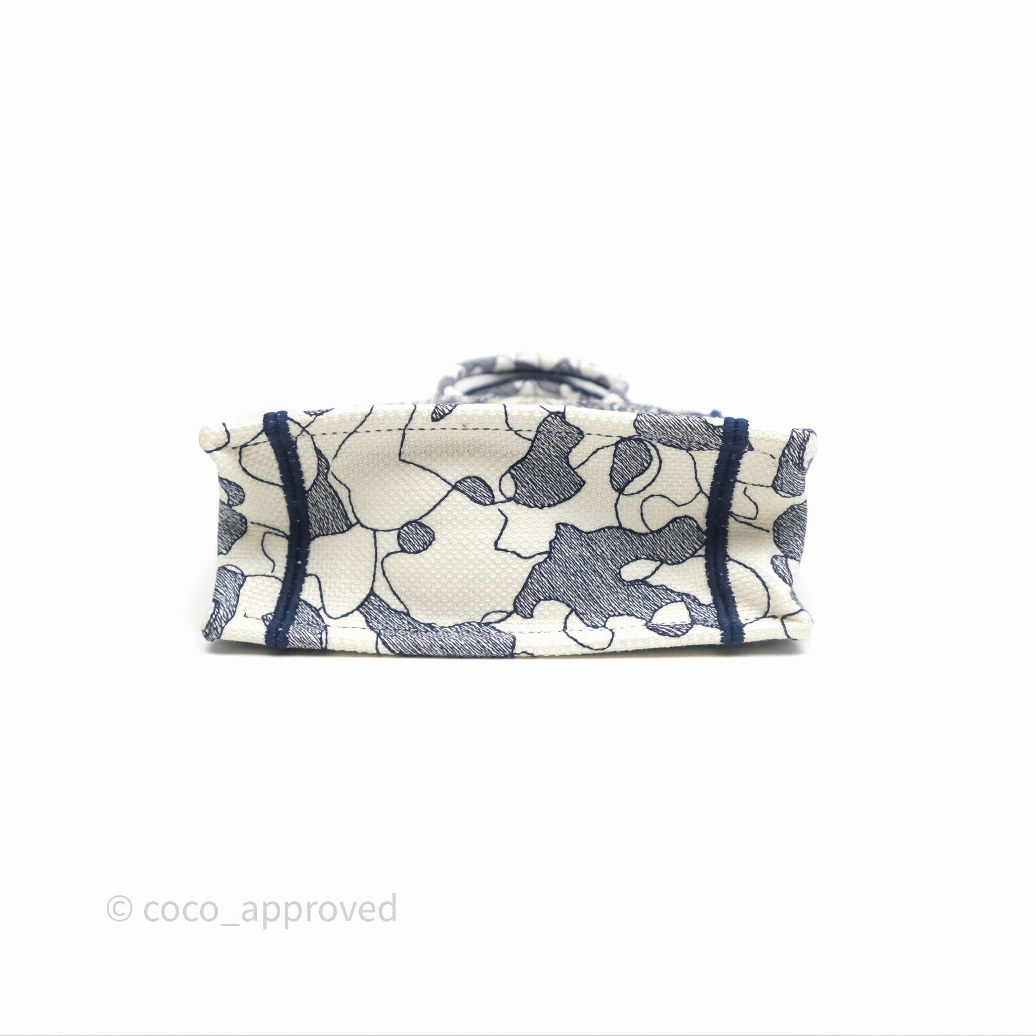 Dior Around The World Vertical Book Tote Blue White