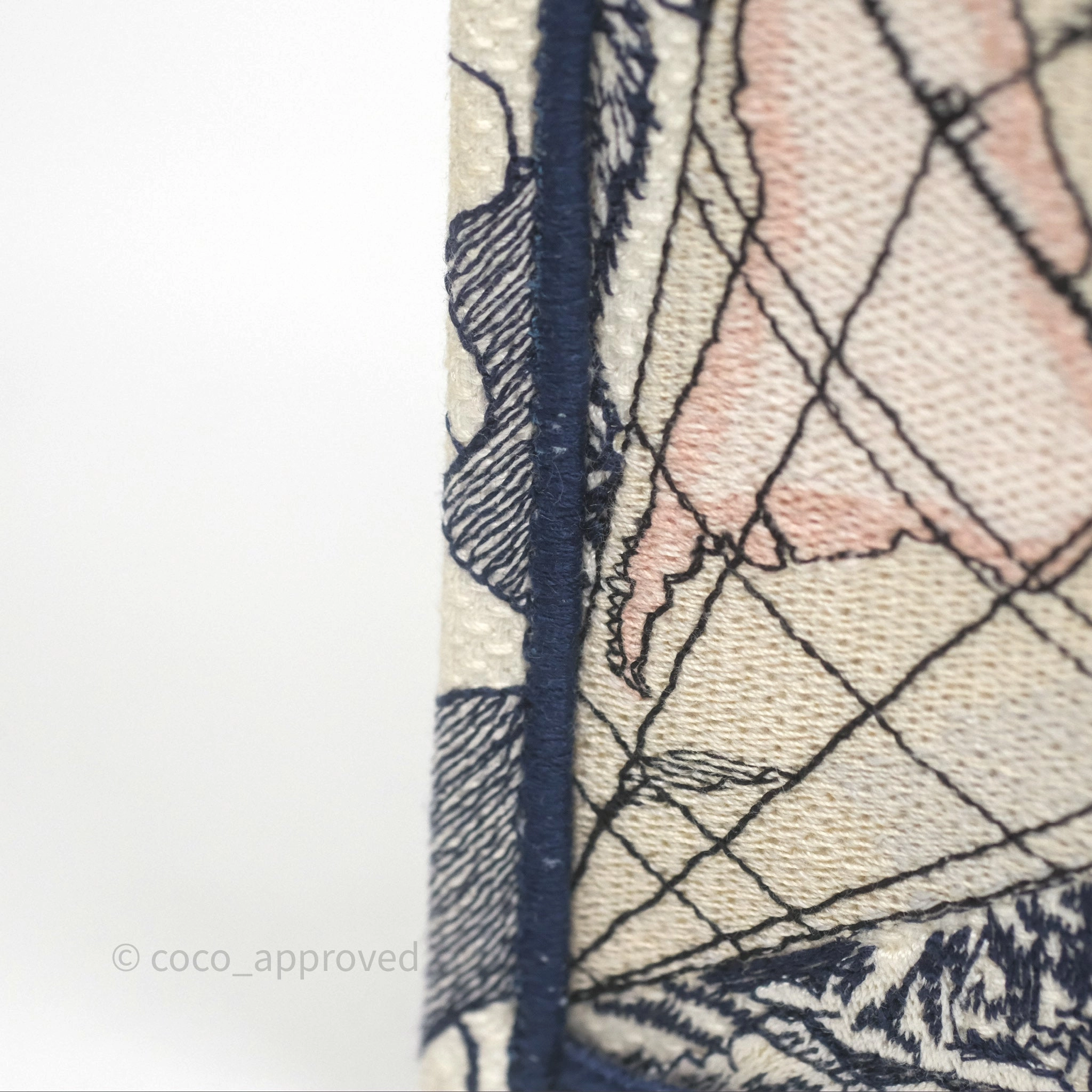Dior Around The World Vertical Book Tote Blue White