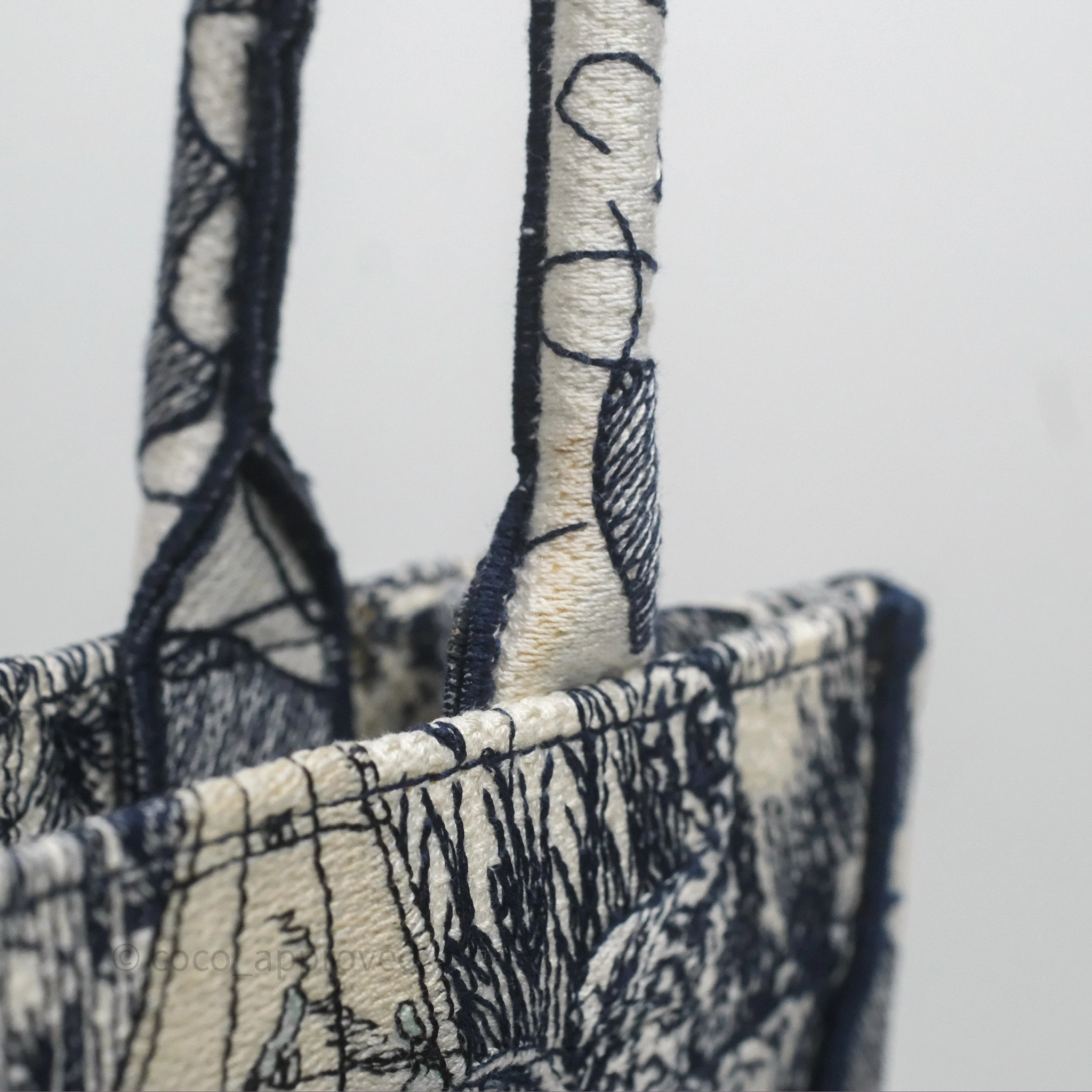 Dior Around The World Vertical Book Tote Blue White