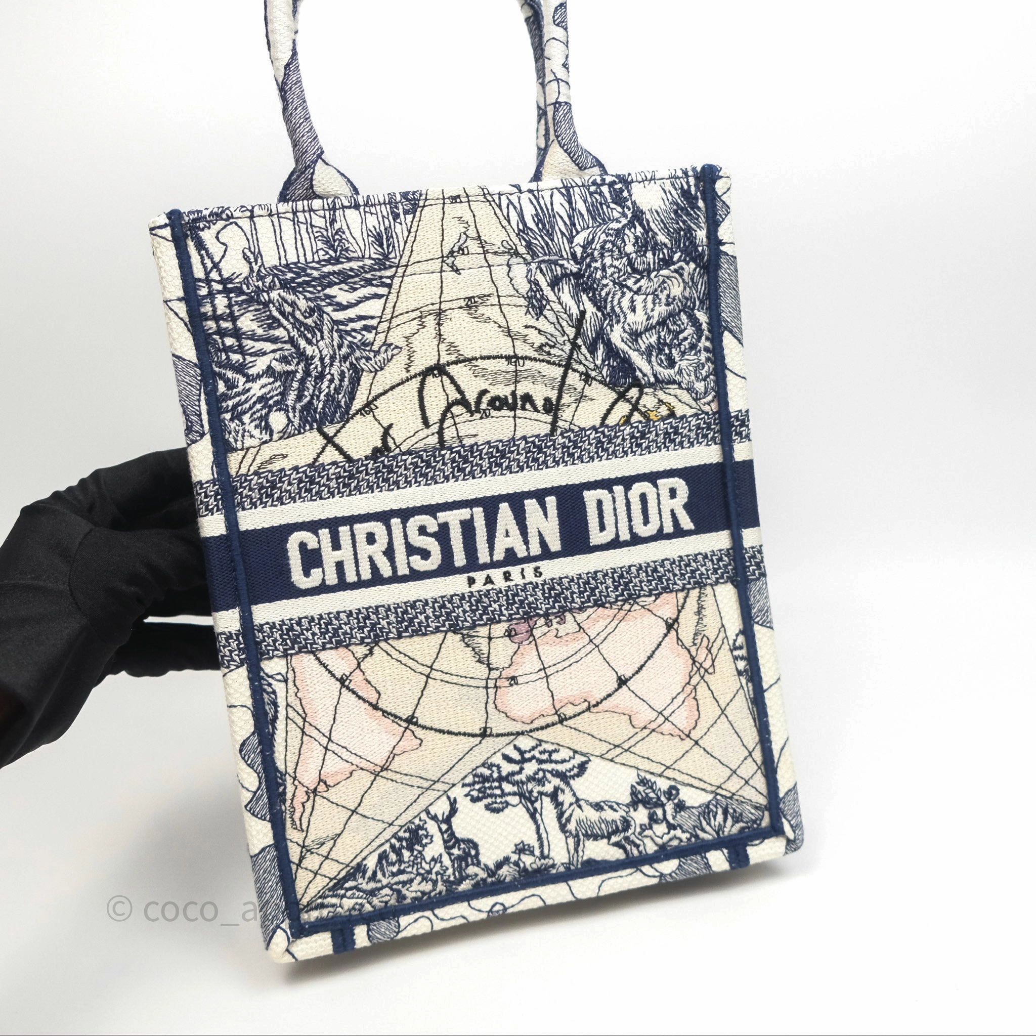 Dior Around The World Vertical Book Tote Blue White