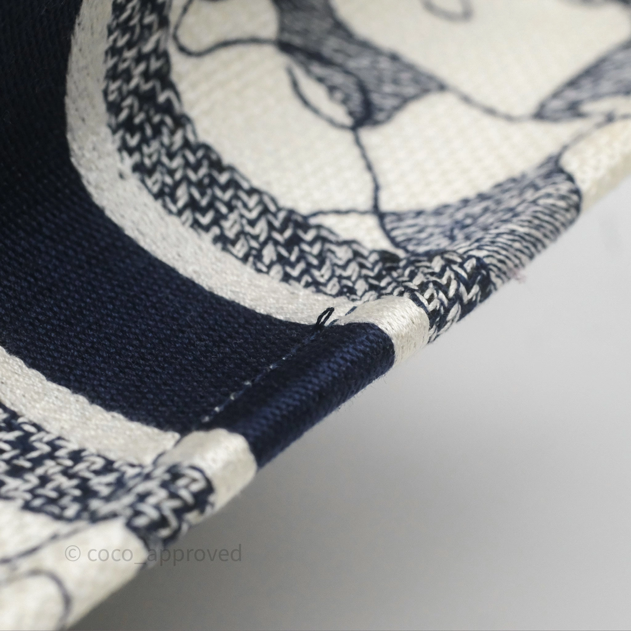 Dior Around The World Vertical Book Tote Blue White