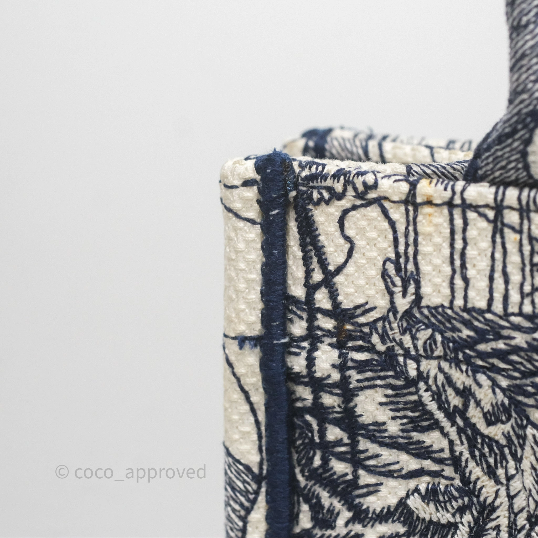 Dior Around The World Vertical Book Tote Blue White