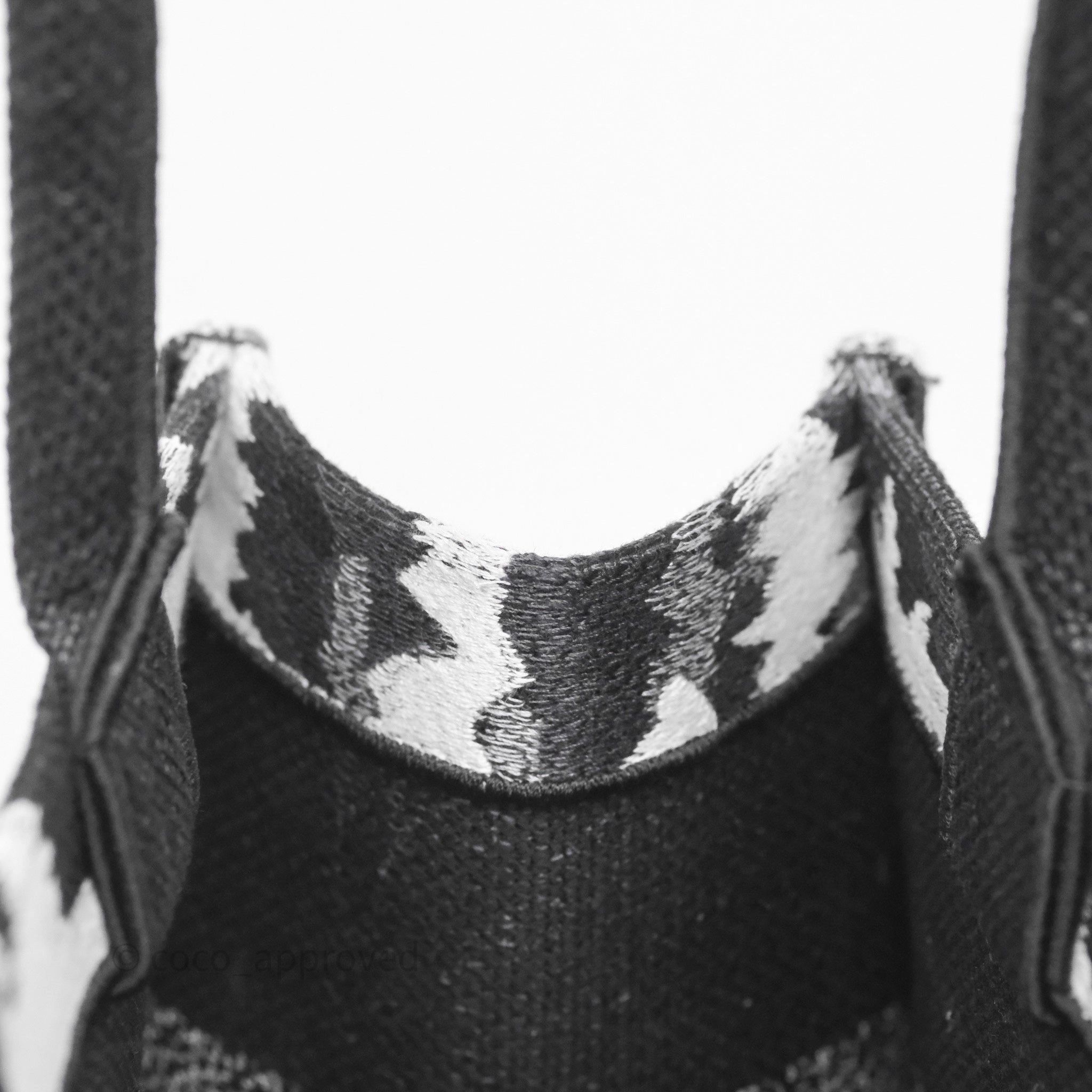 Dior Medium Book Tote Paris Embroidered Black White