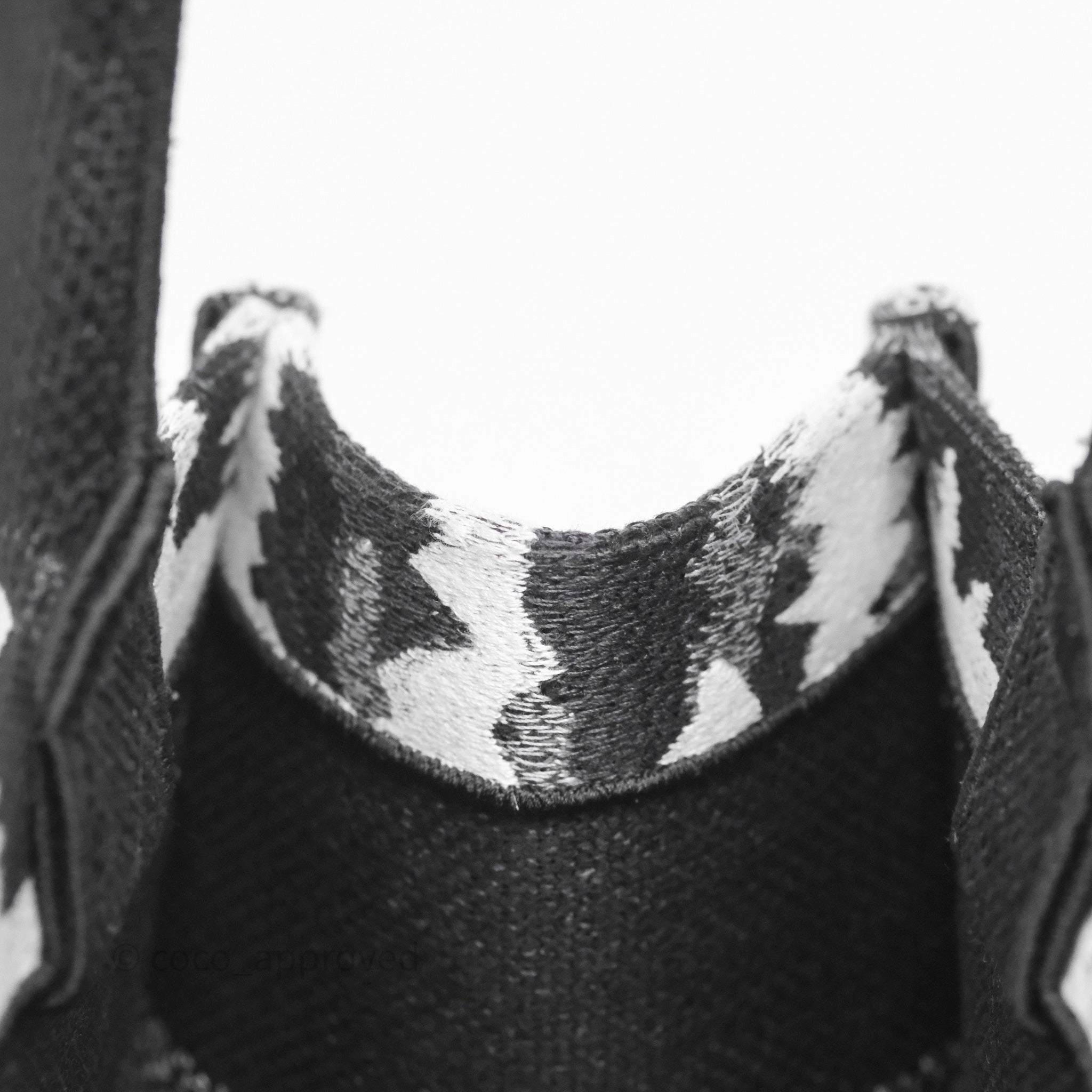 Dior Medium Book Tote Paris Embroidered Black White