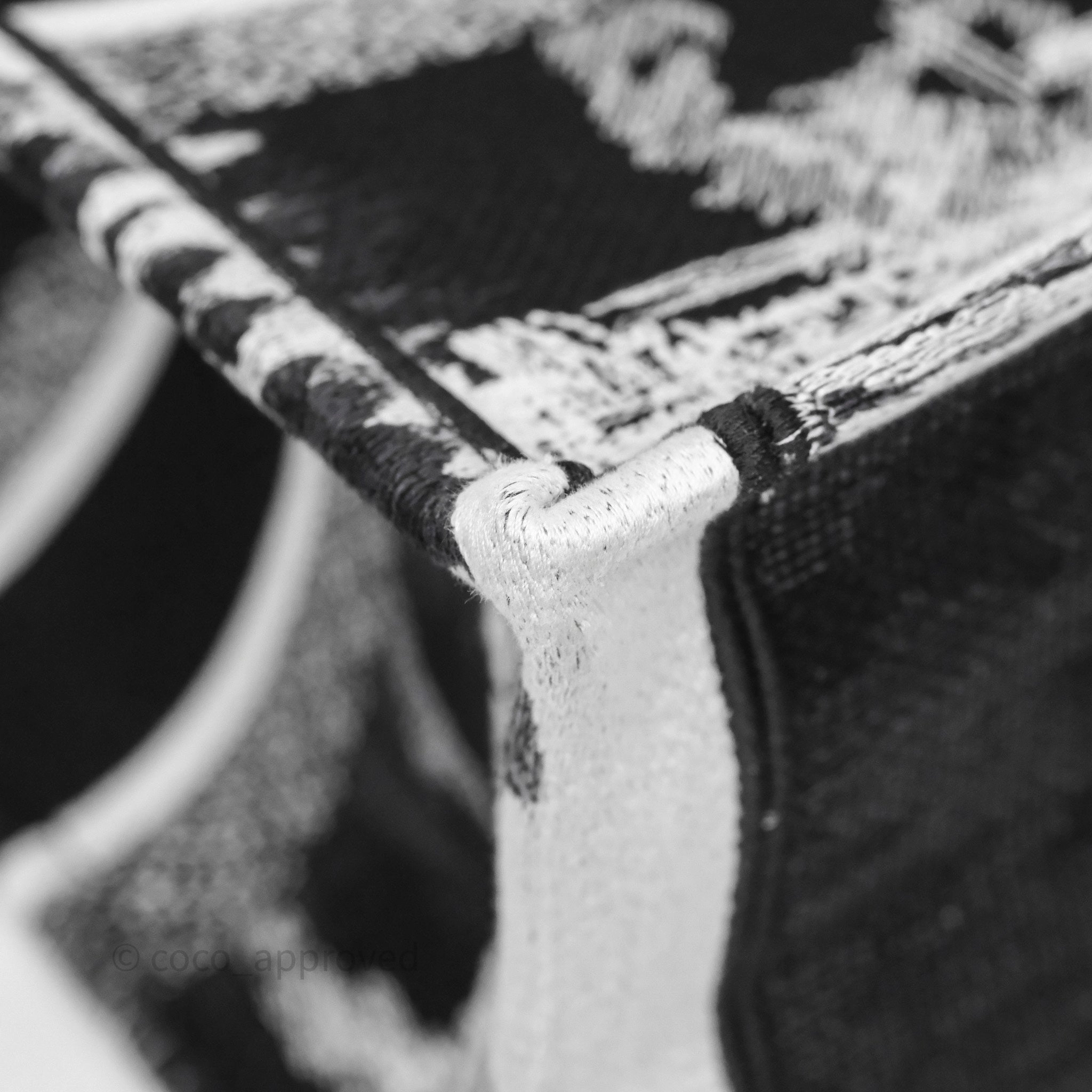 Dior Medium Book Tote Paris Embroidered Black White