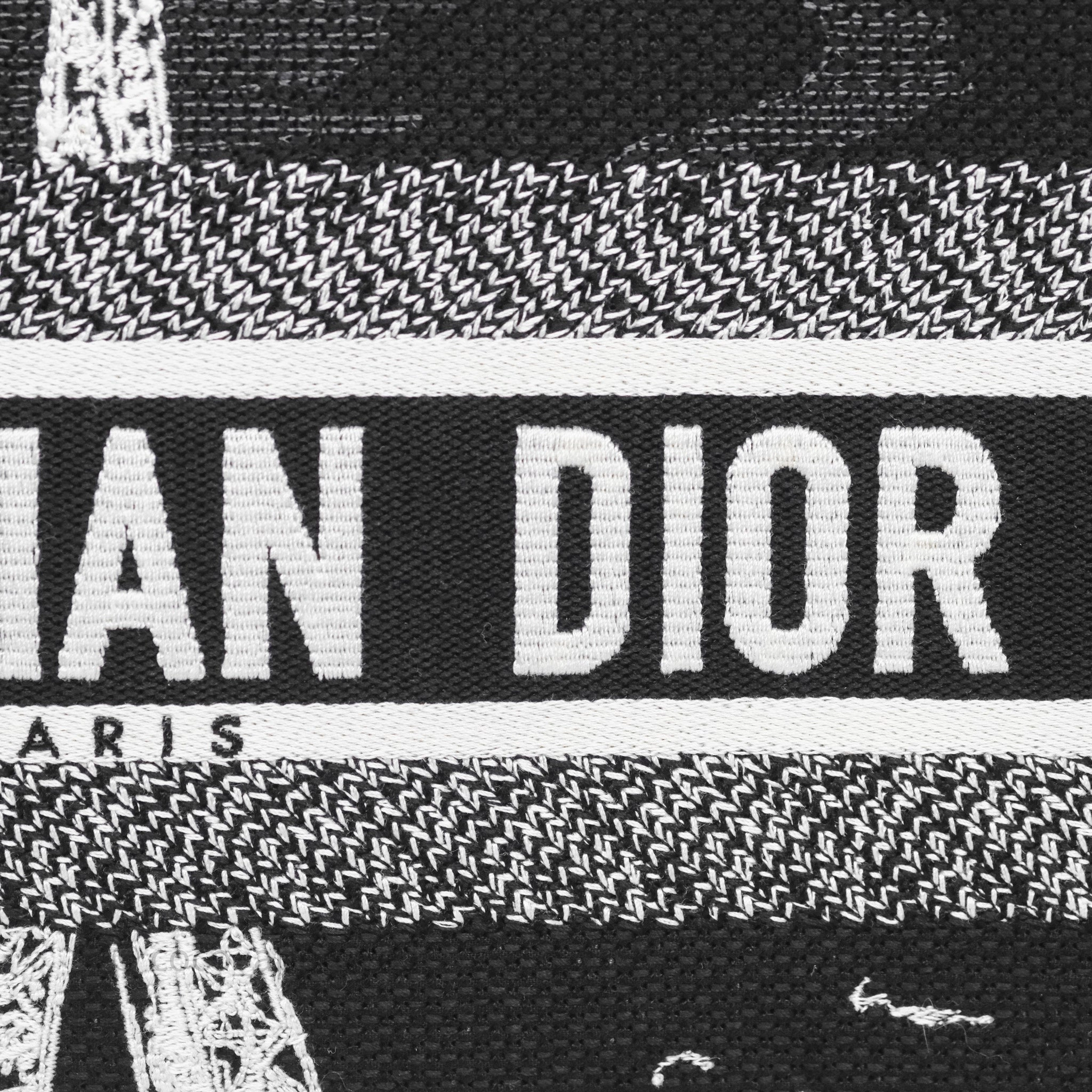 Dior Medium Book Tote Paris Embroidered Black White