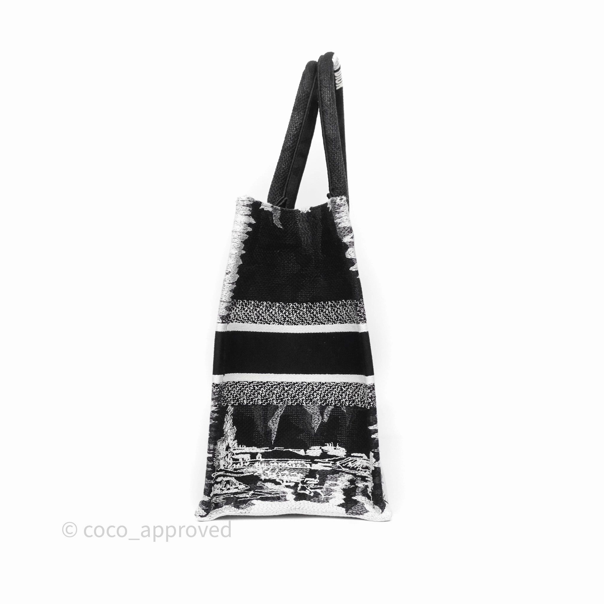 Dior Medium Book Tote Paris Embroidered Black White